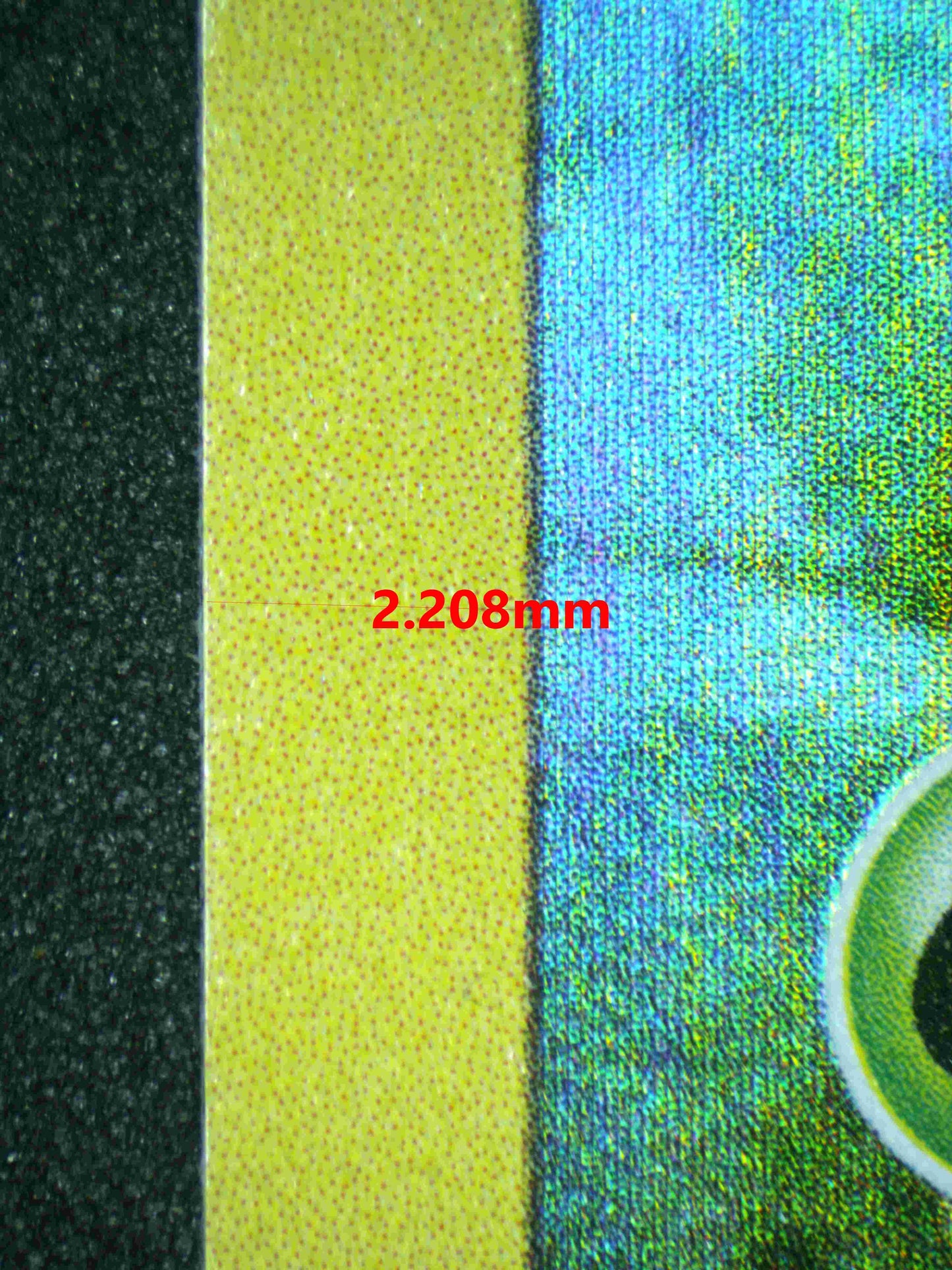 05696 TURTWIG - ValueUp