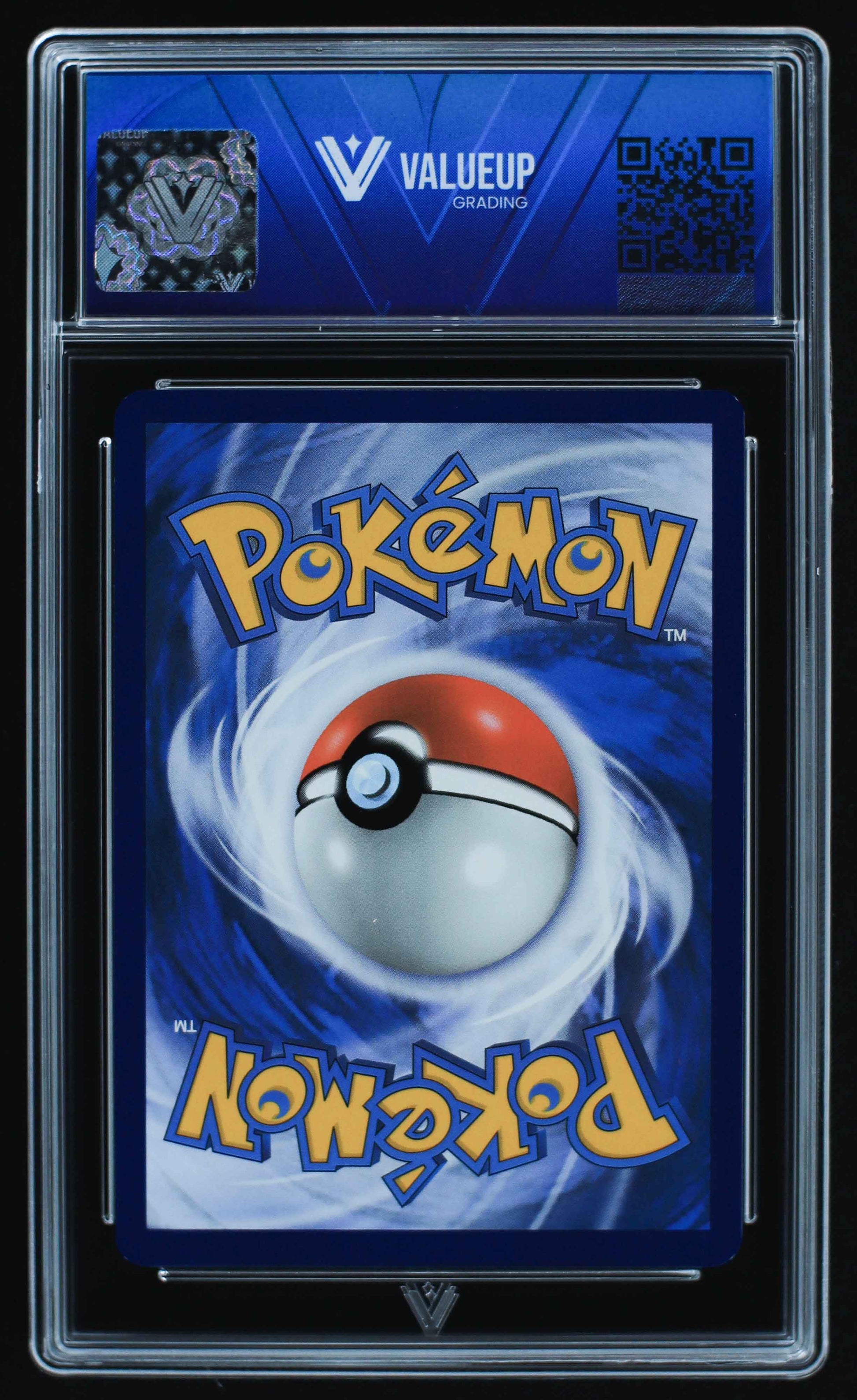 05696 TURTWIG - ValueUp