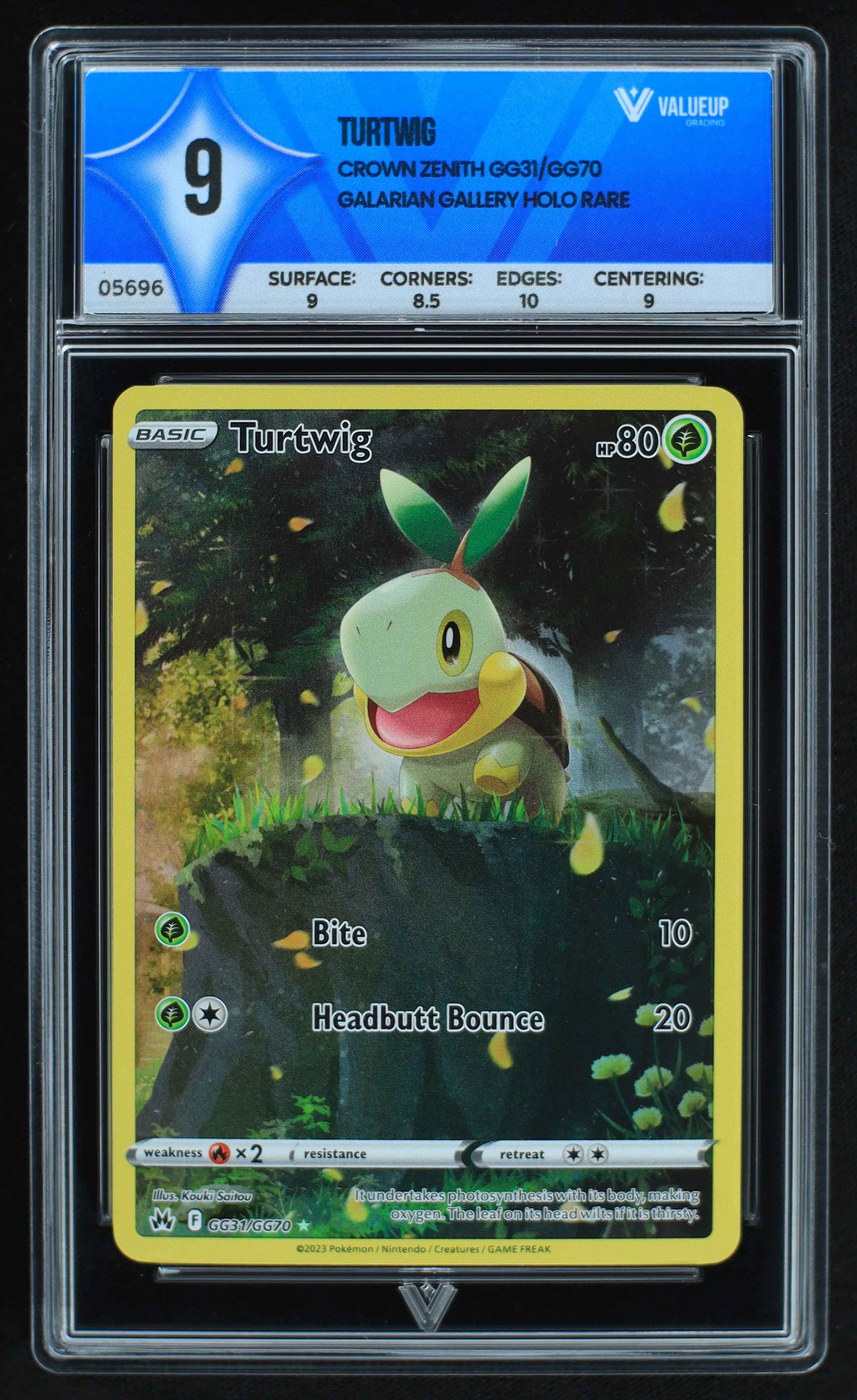 05696 TURTWIG - ValueUp