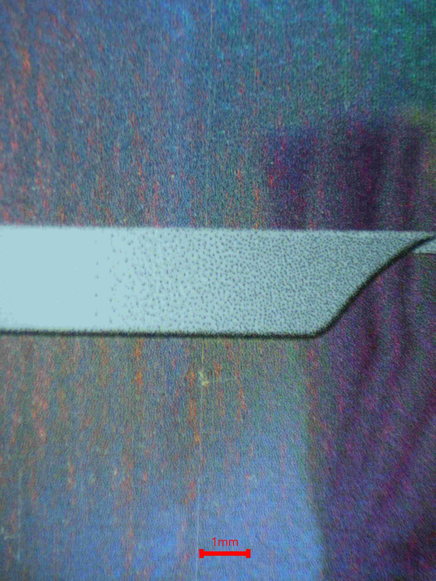 05698 ALTARIA - ValueUp