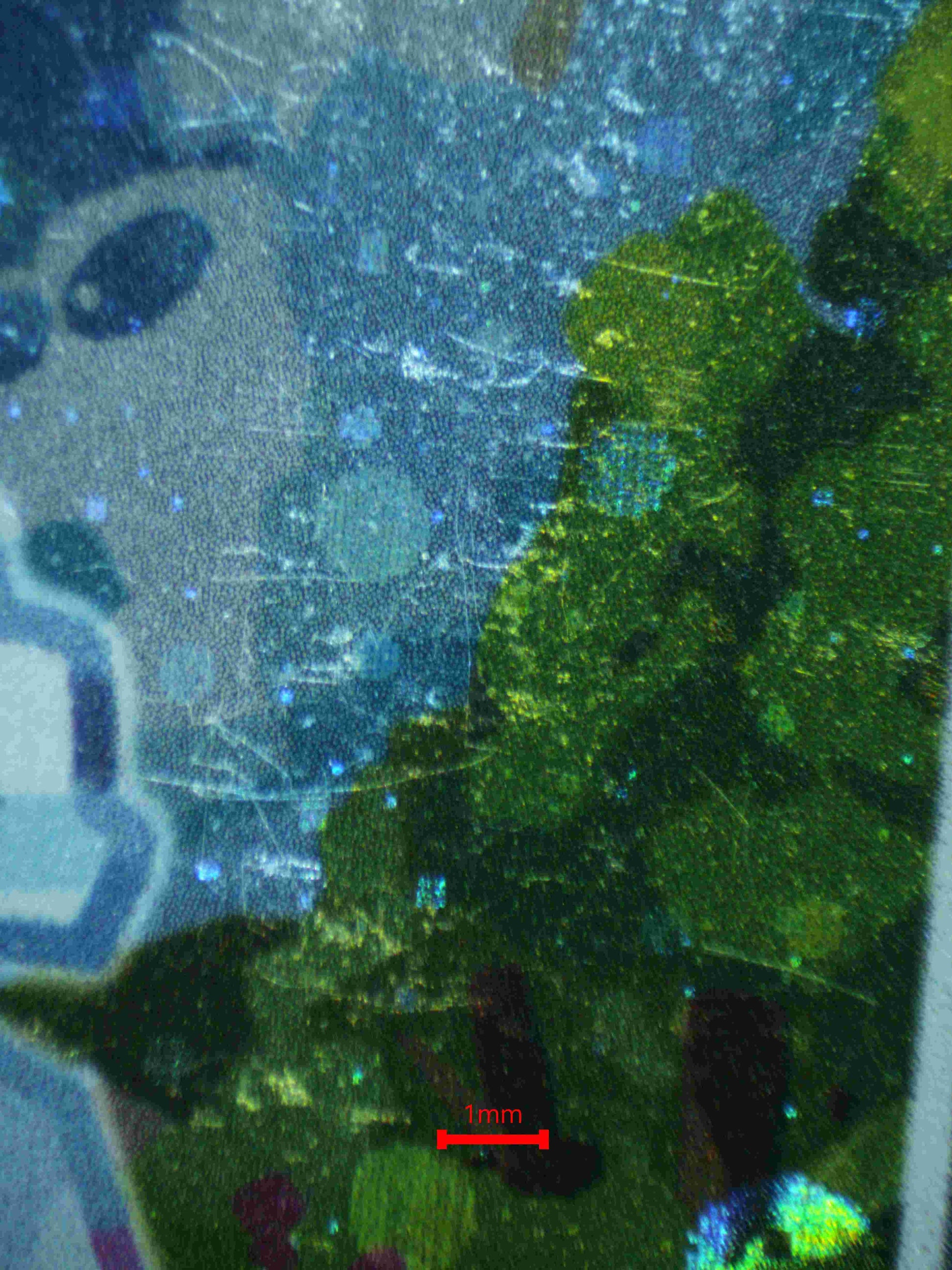 05699 SQUIRTLE - ValueUp