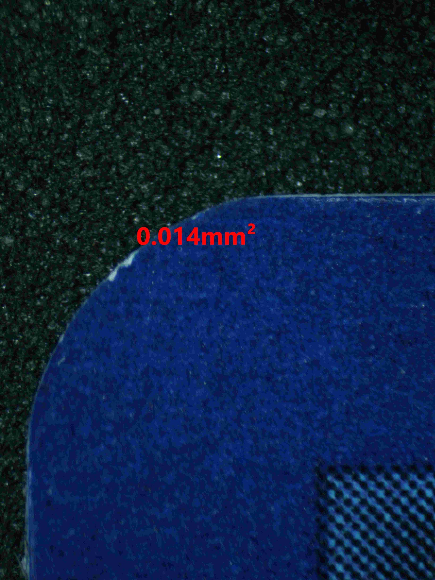 05715 BIANCA'S DEVOTION - ValueUp