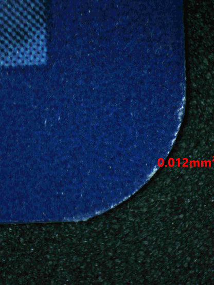 05733 FRIENDS IN PALDEA - ValueUp