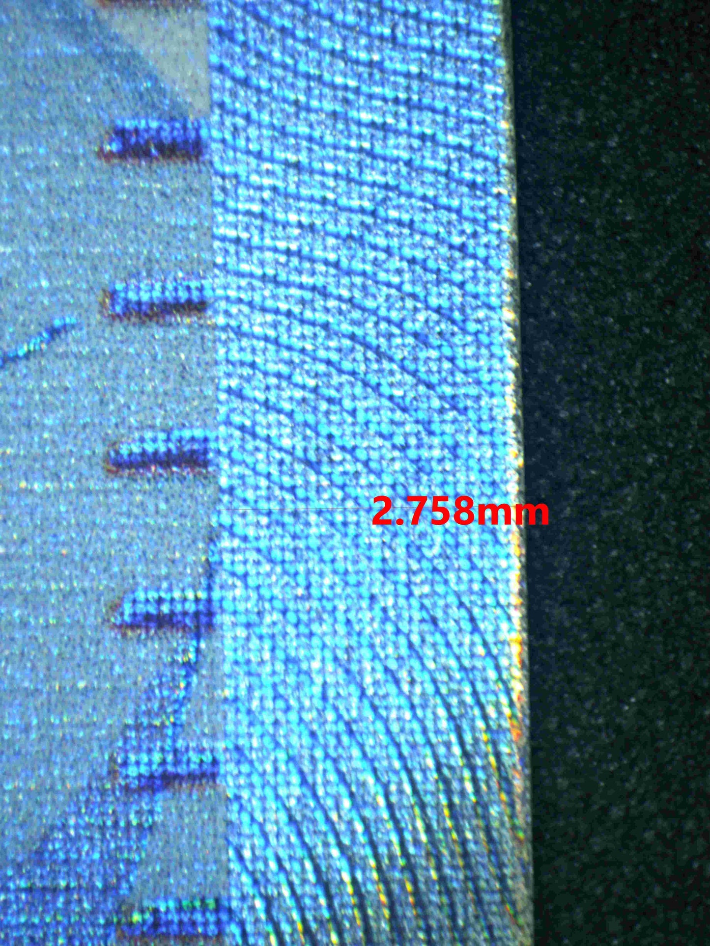 05733 FRIENDS IN PALDEA - ValueUp