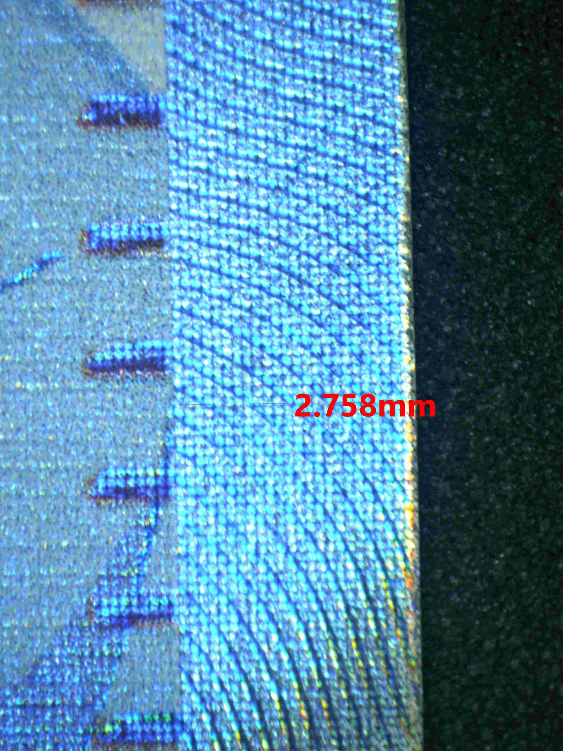 05733 FRIENDS IN PALDEA - ValueUp