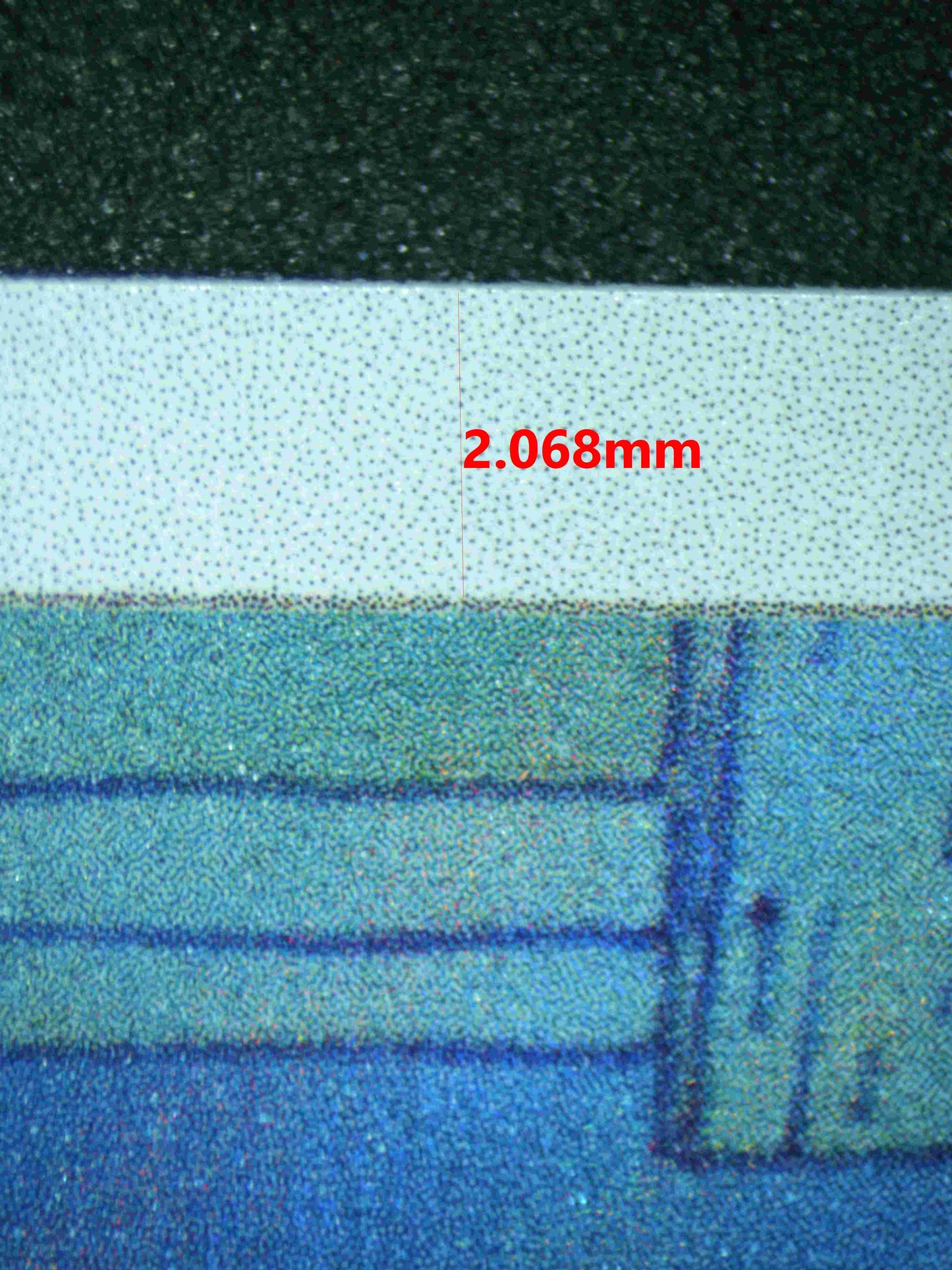 05737 SUNFLORA - ValueUp