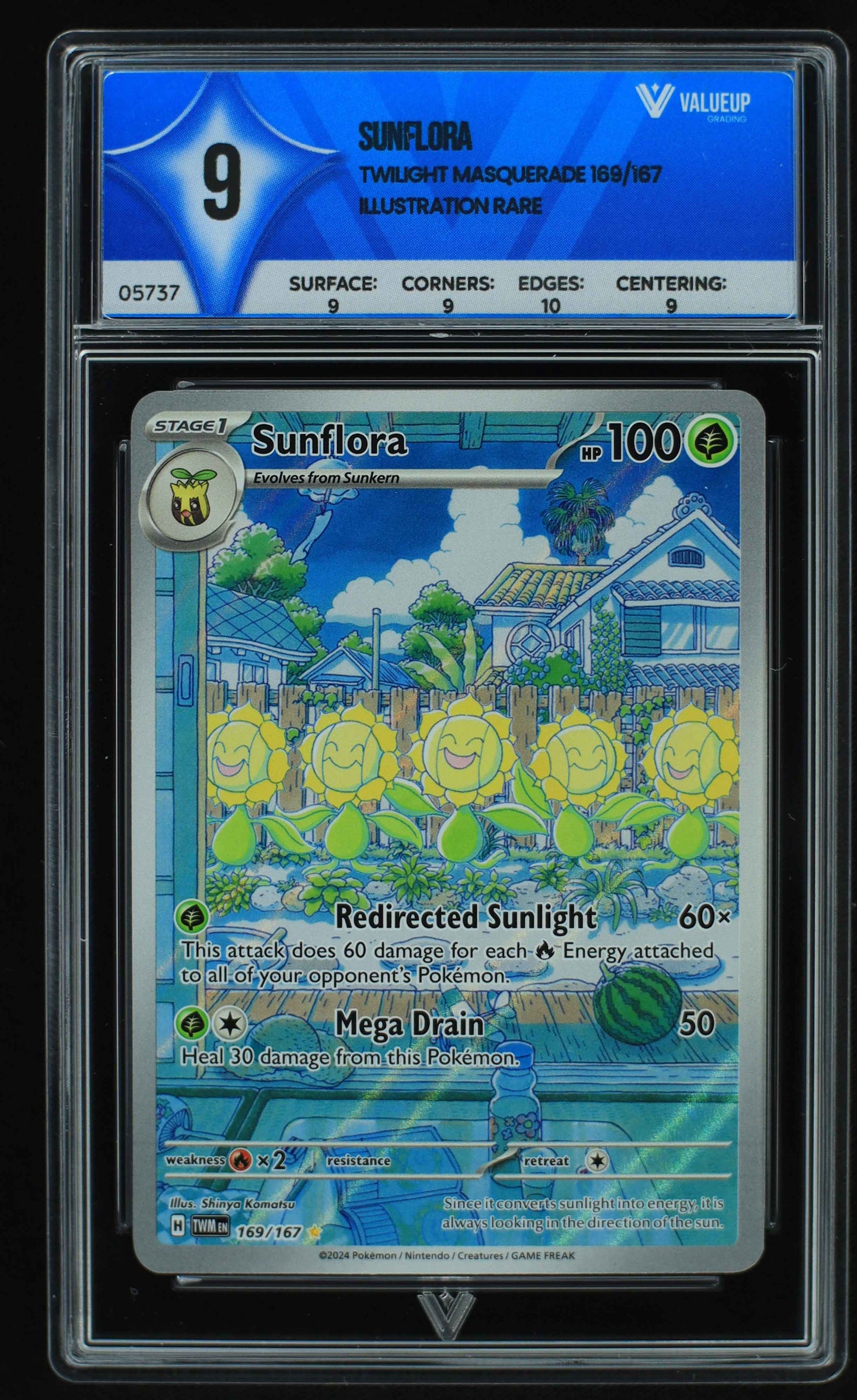 05737 SUNFLORA - ValueUp