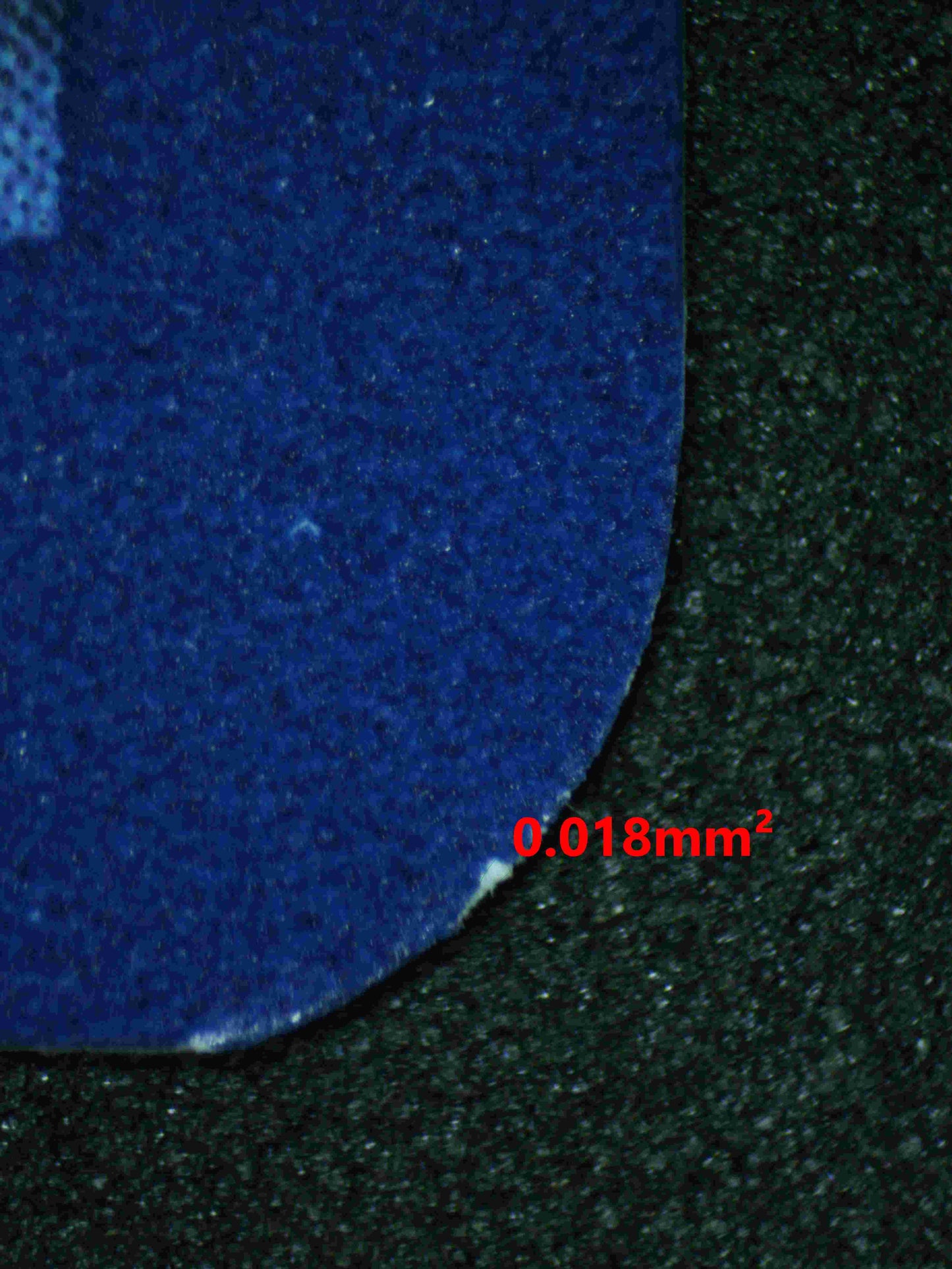 05737 SUNFLORA - ValueUp