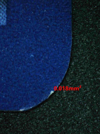 05737 SUNFLORA - ValueUp