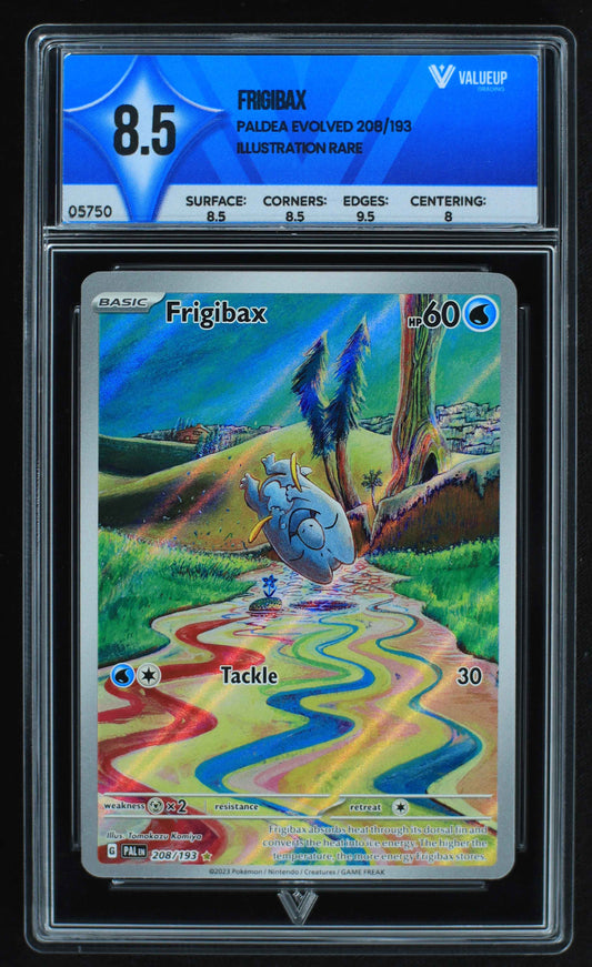 05750 FRIGIBAX - ValueUp