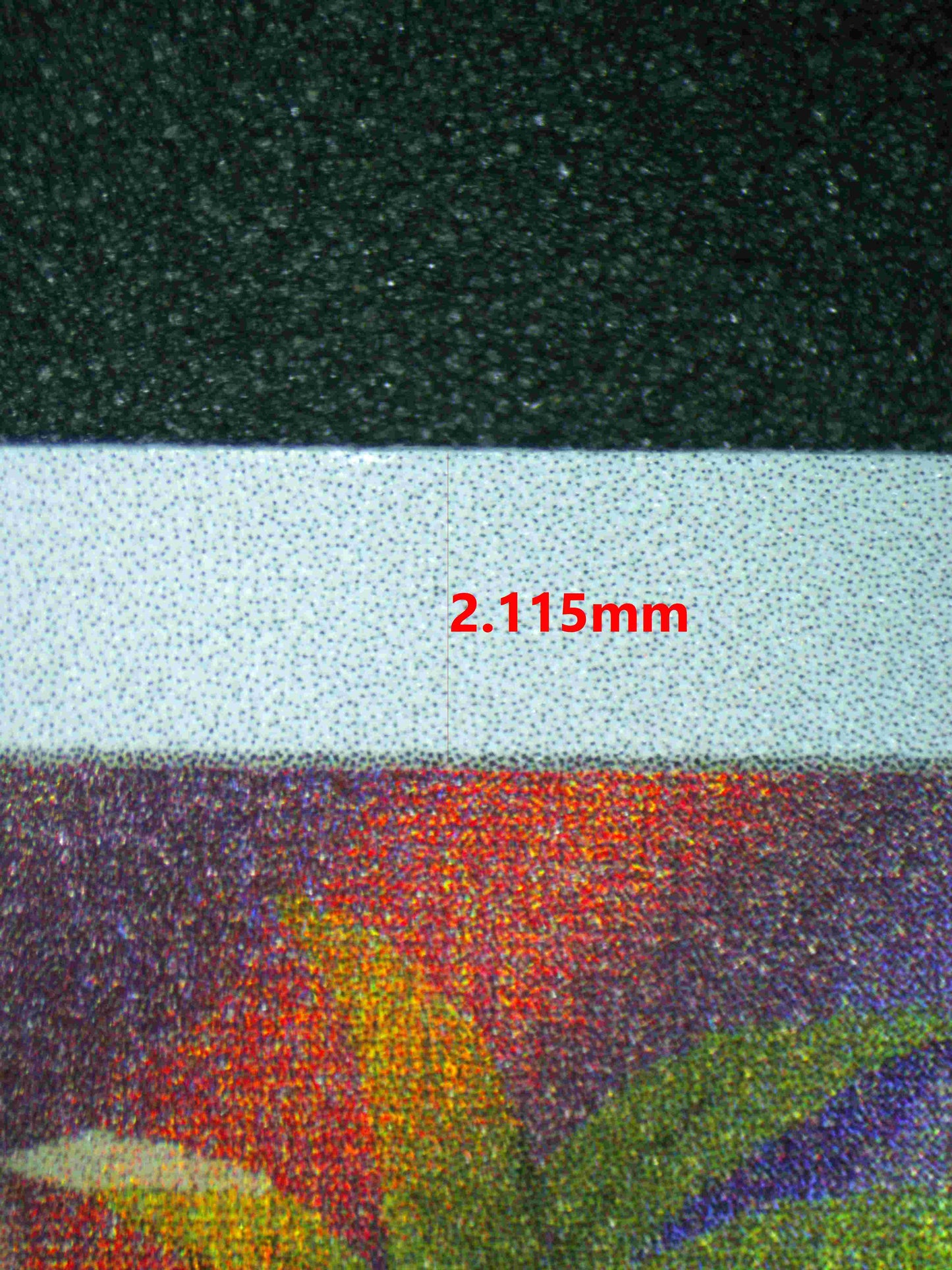 05753 BULBASAUR - ValueUp