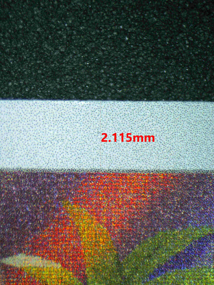 05753 BULBASAUR - ValueUp