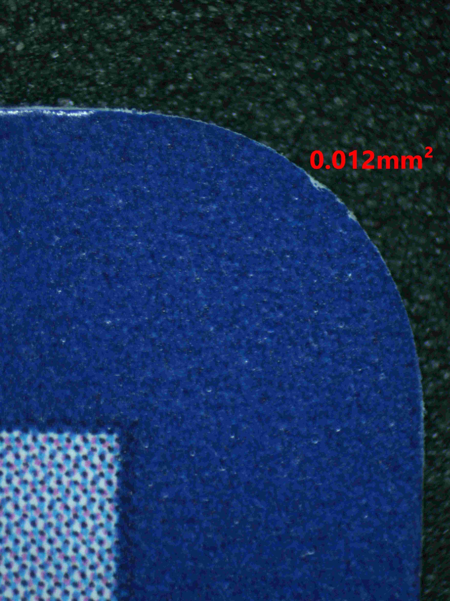 05753 BULBASAUR - ValueUp