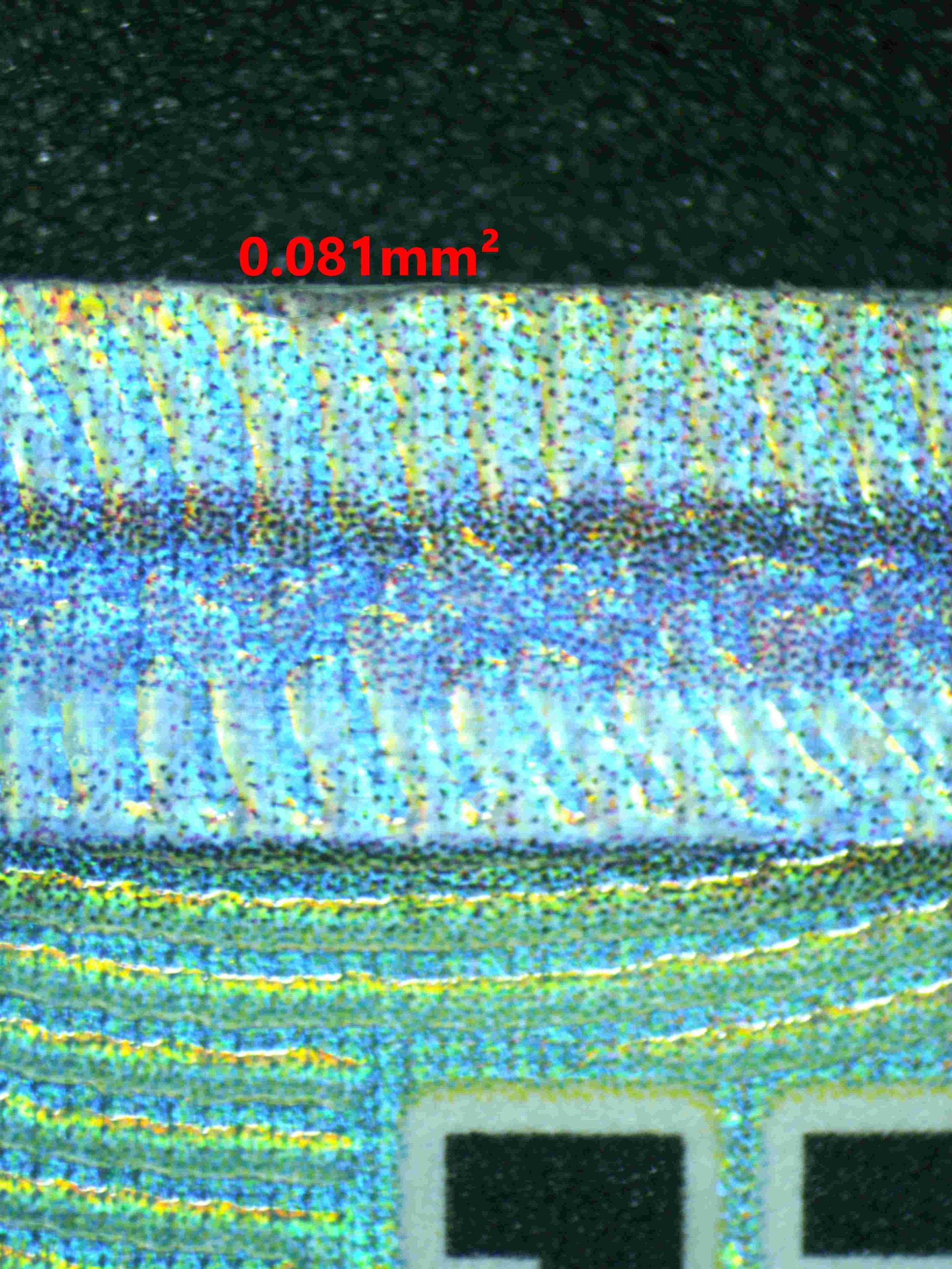 05761 SHUCKLE GX - ValueUp