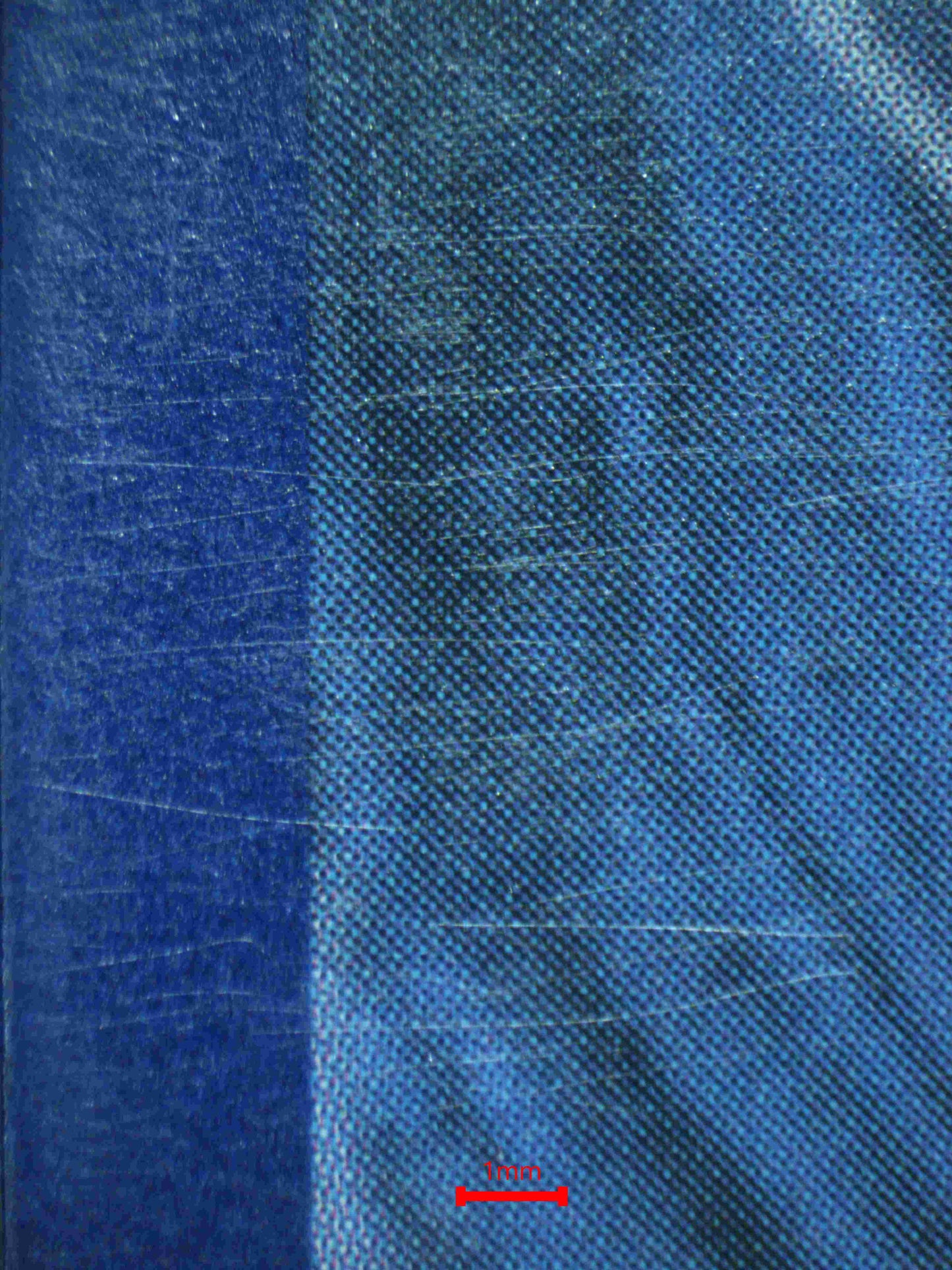 05761 SHUCKLE GX - ValueUp