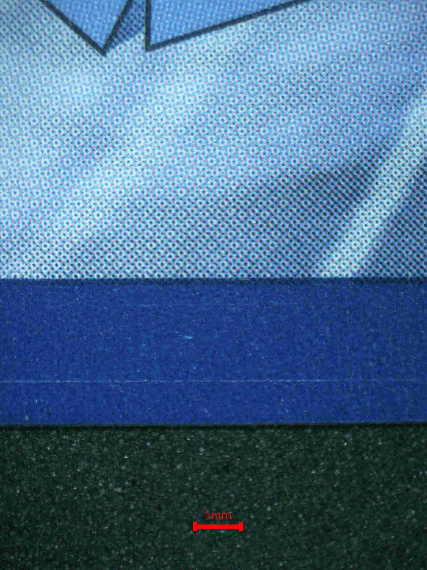 05801 COTTONEE - ValueUp