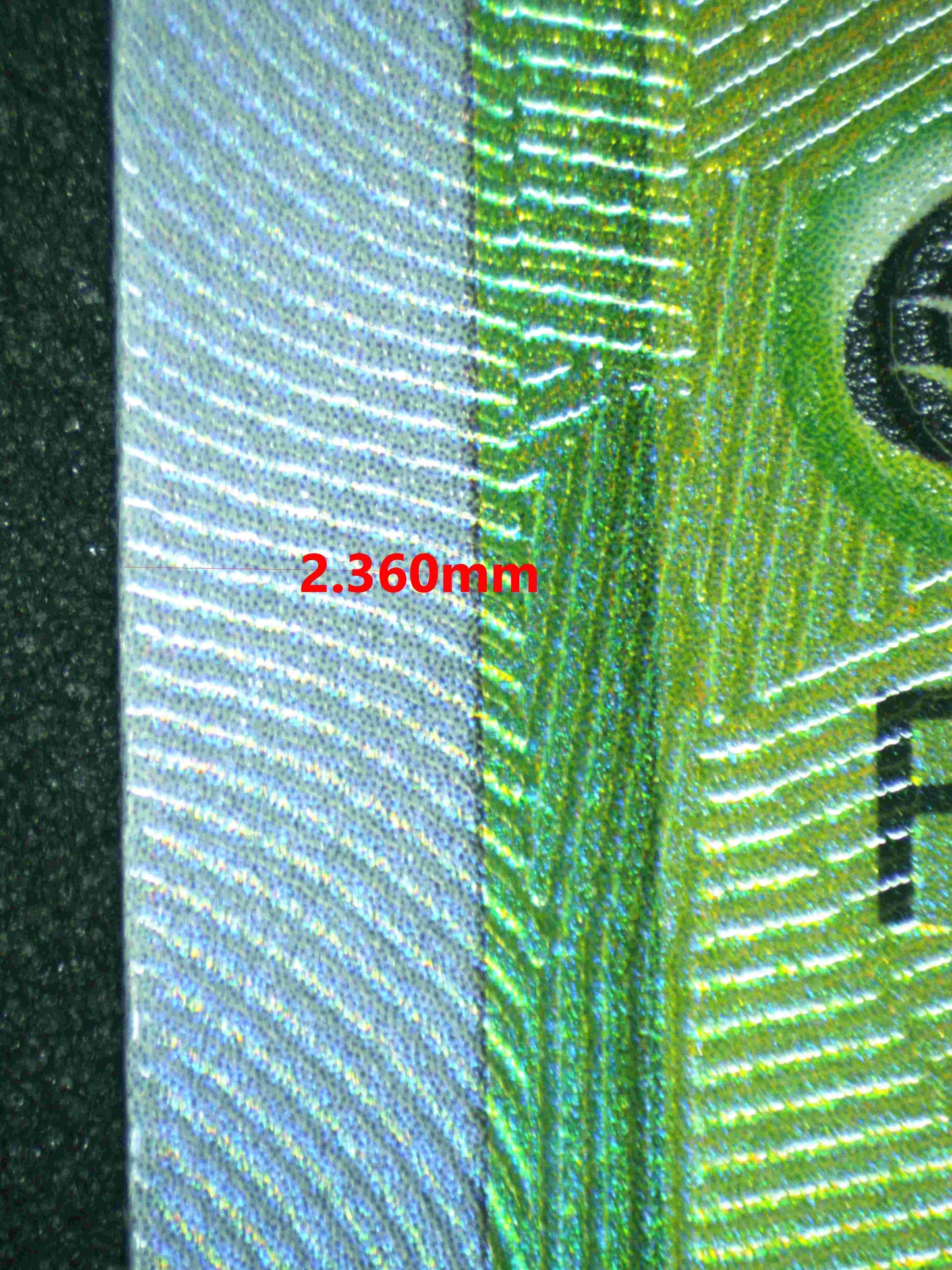 05801 COTTONEE - ValueUp