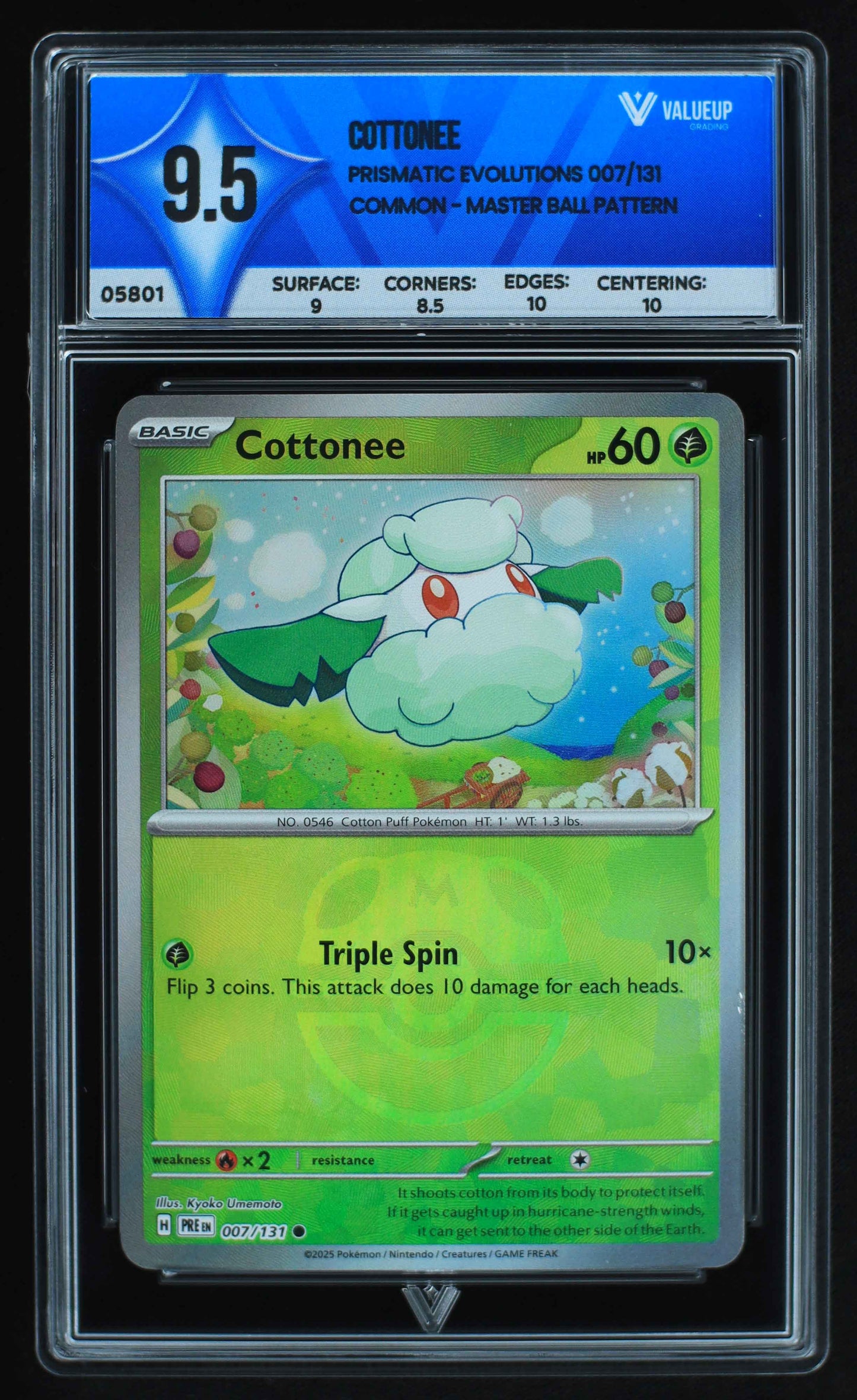 05801 COTTONEE - ValueUp