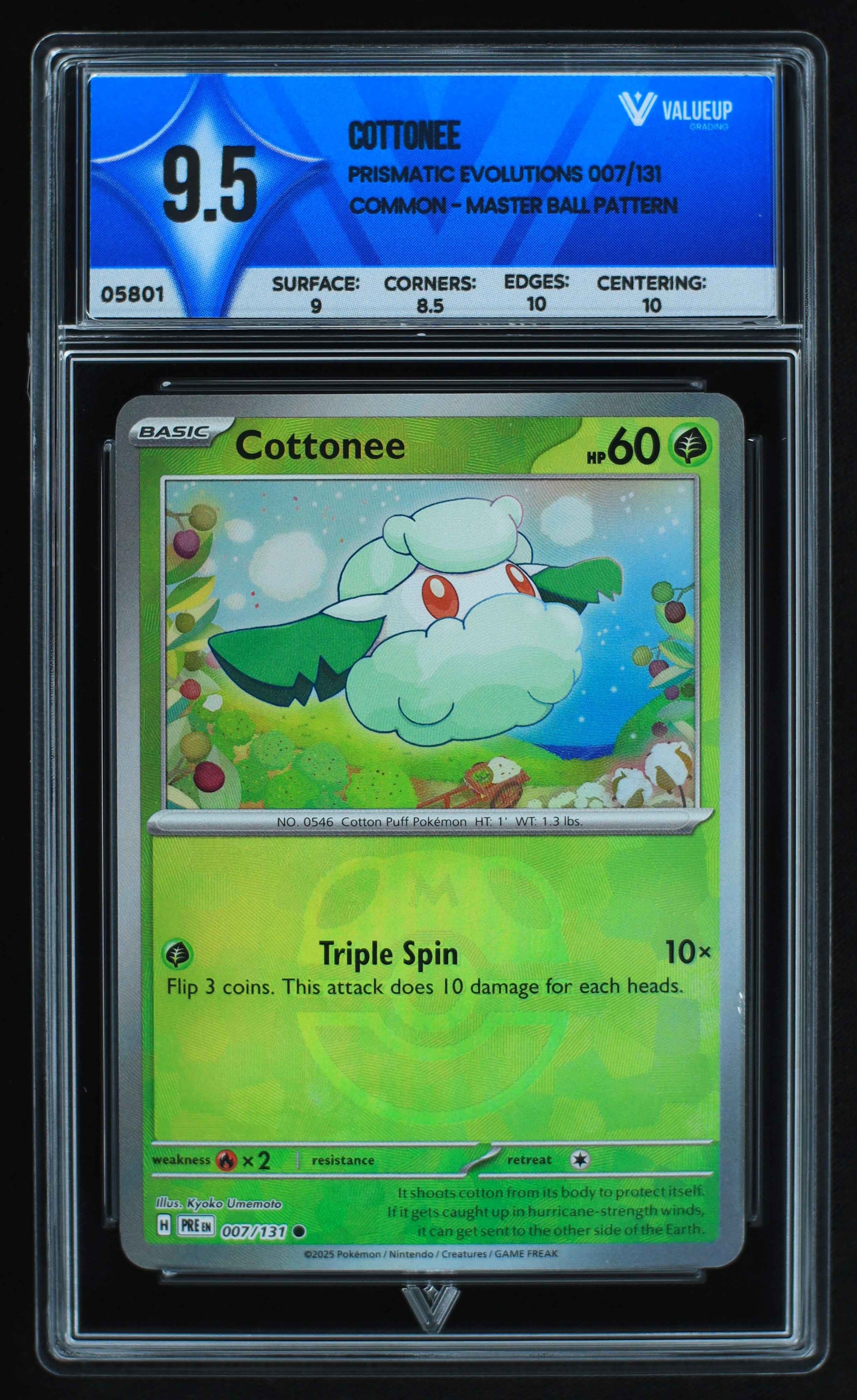 05801 COTTONEE - ValueUp