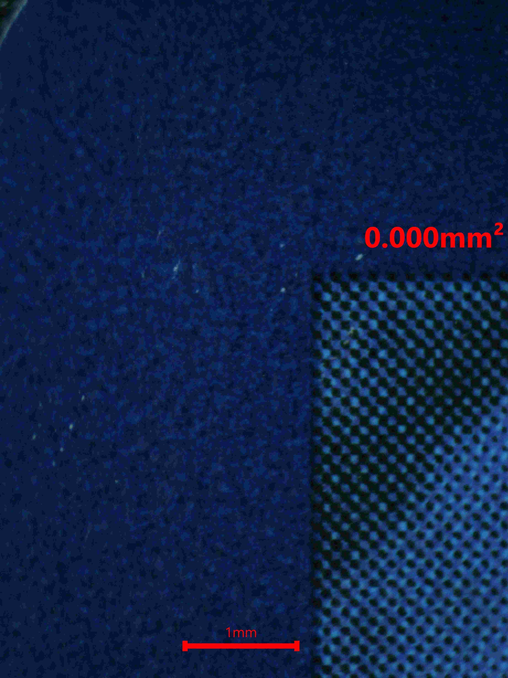 05823 VENUSAUR EX - ValueUp