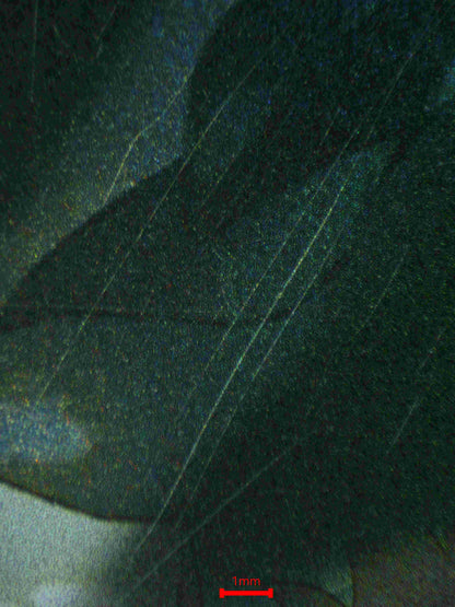 05833 PIKACHU (SPANISH) - ValueUp