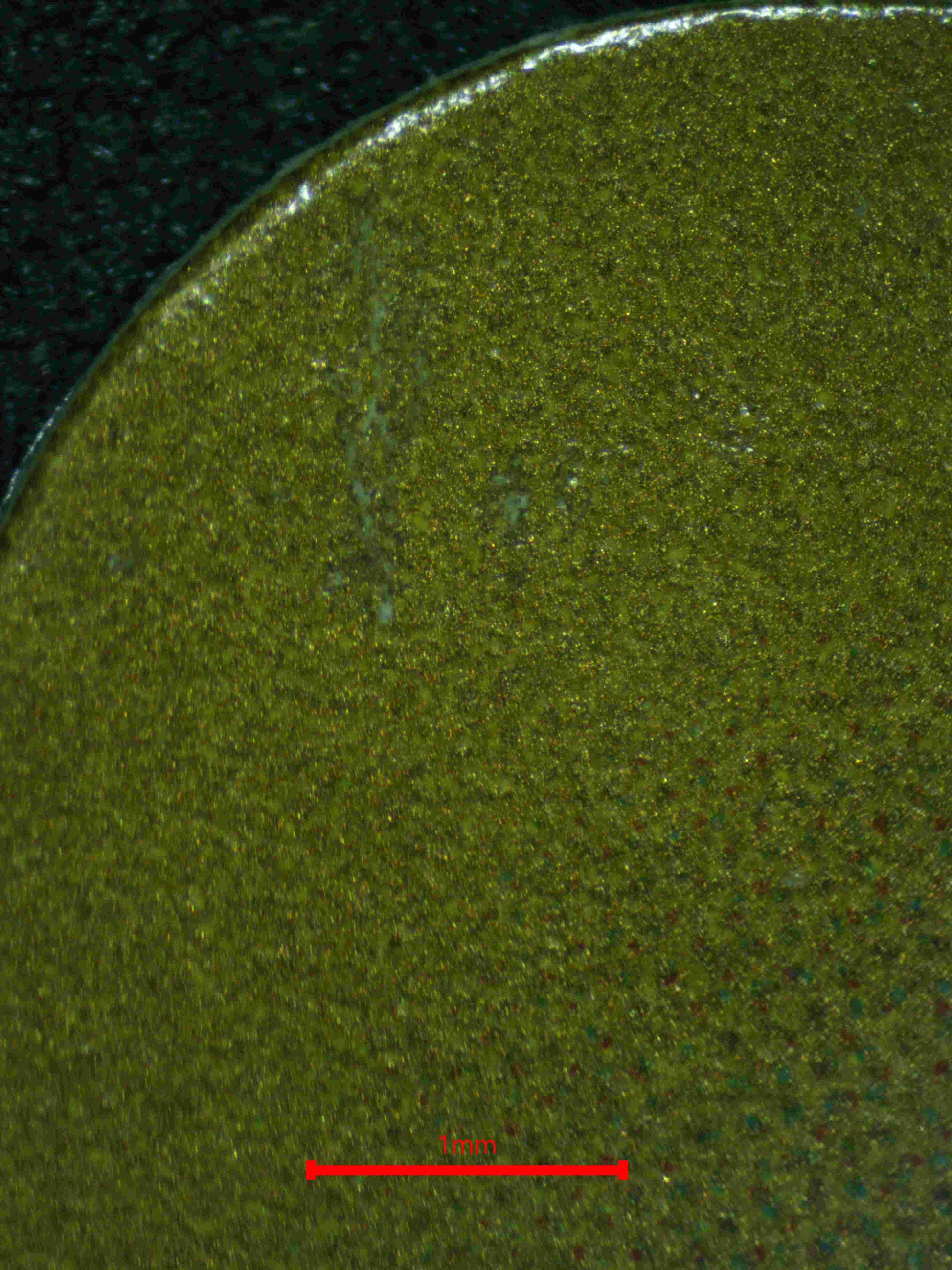 05835 CLEMONT'S QUICK WIT (JAPANESE) - ValueUp