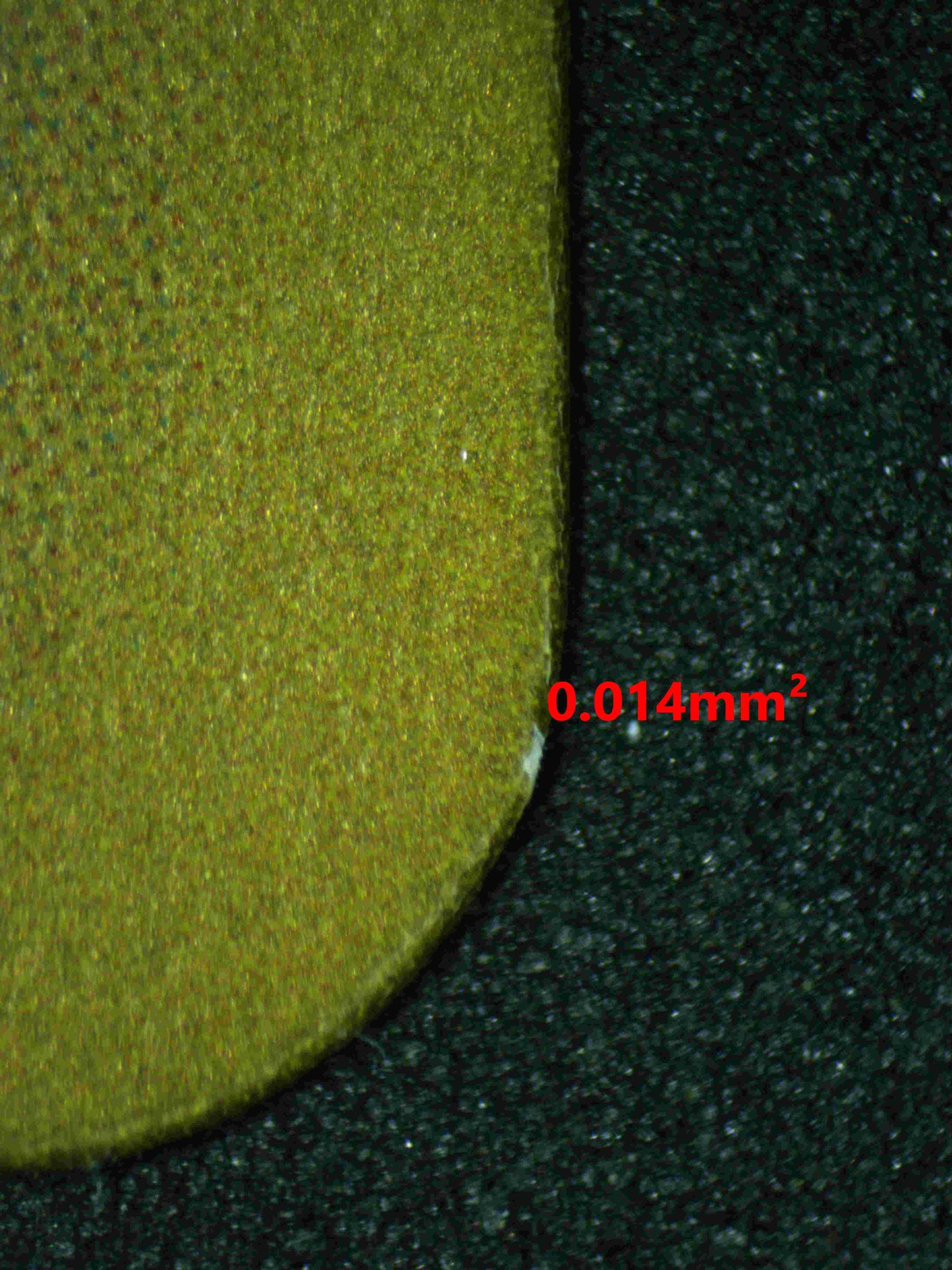 05838 CERULEDGE (JAPANESE) - ValueUp