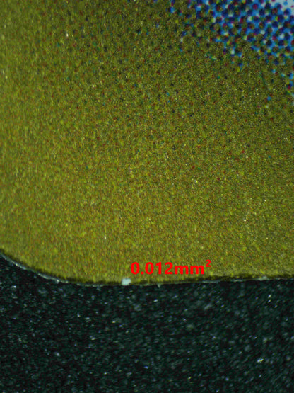 05848 WARTORTLE (JAPANESE) - ValueUp