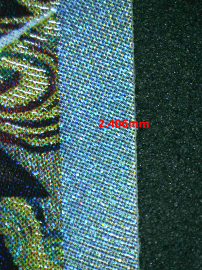 05849 ROARING MOON EX (JAPANESE) - ValueUp