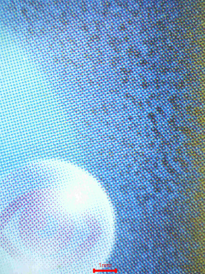 05861 M CHARIZARD EX (JAPANESE) - ValueUp