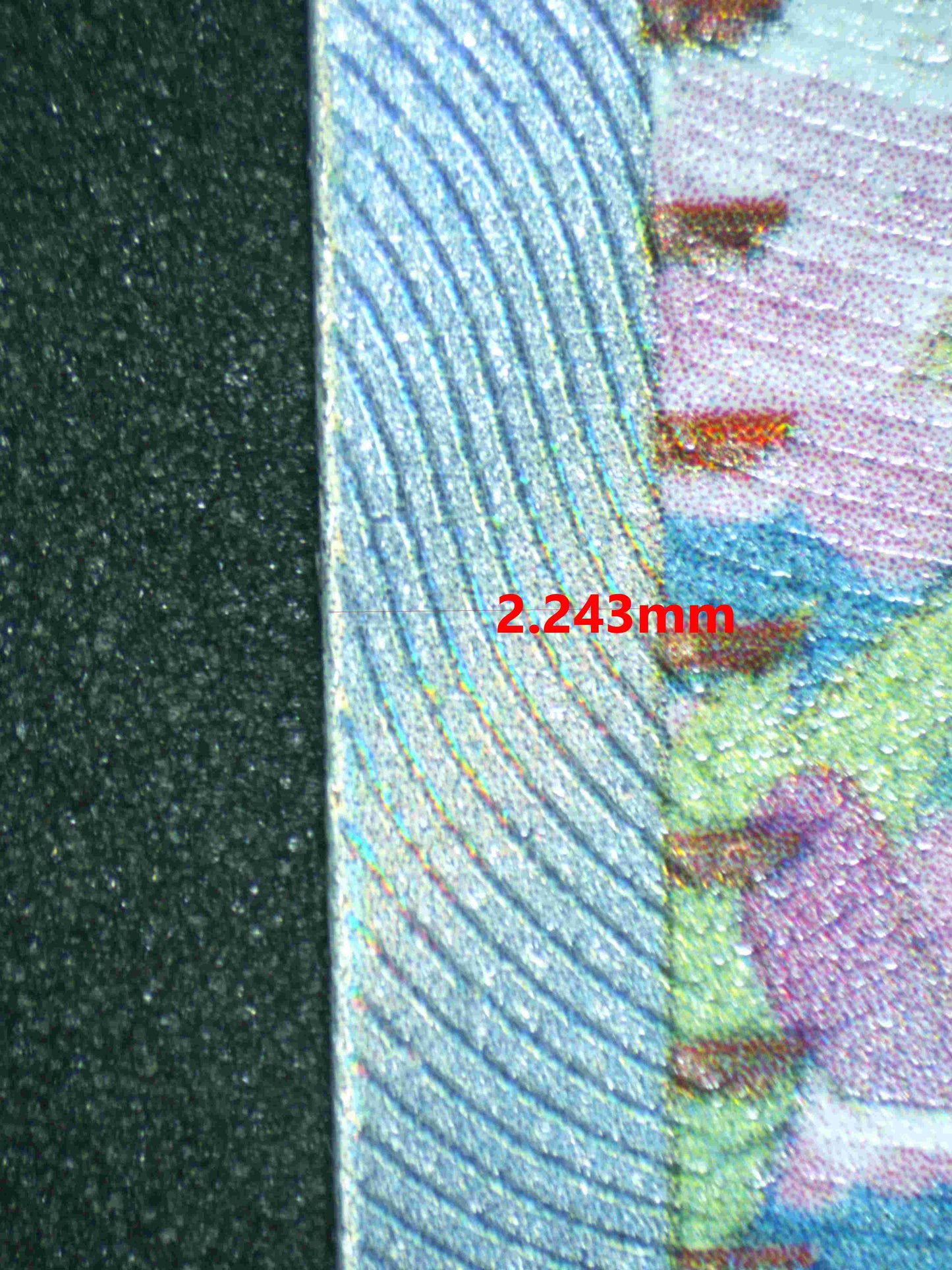 05877 ORTEGA - ValueUp