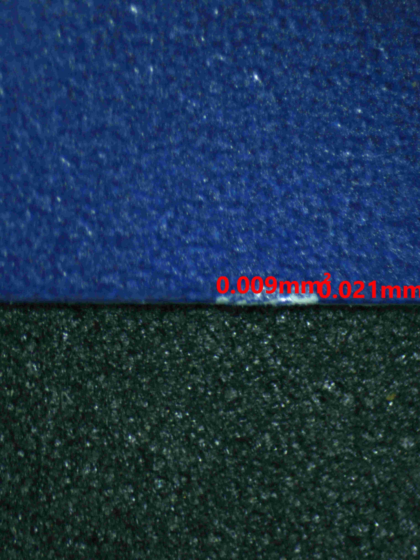 05877 ORTEGA - ValueUp