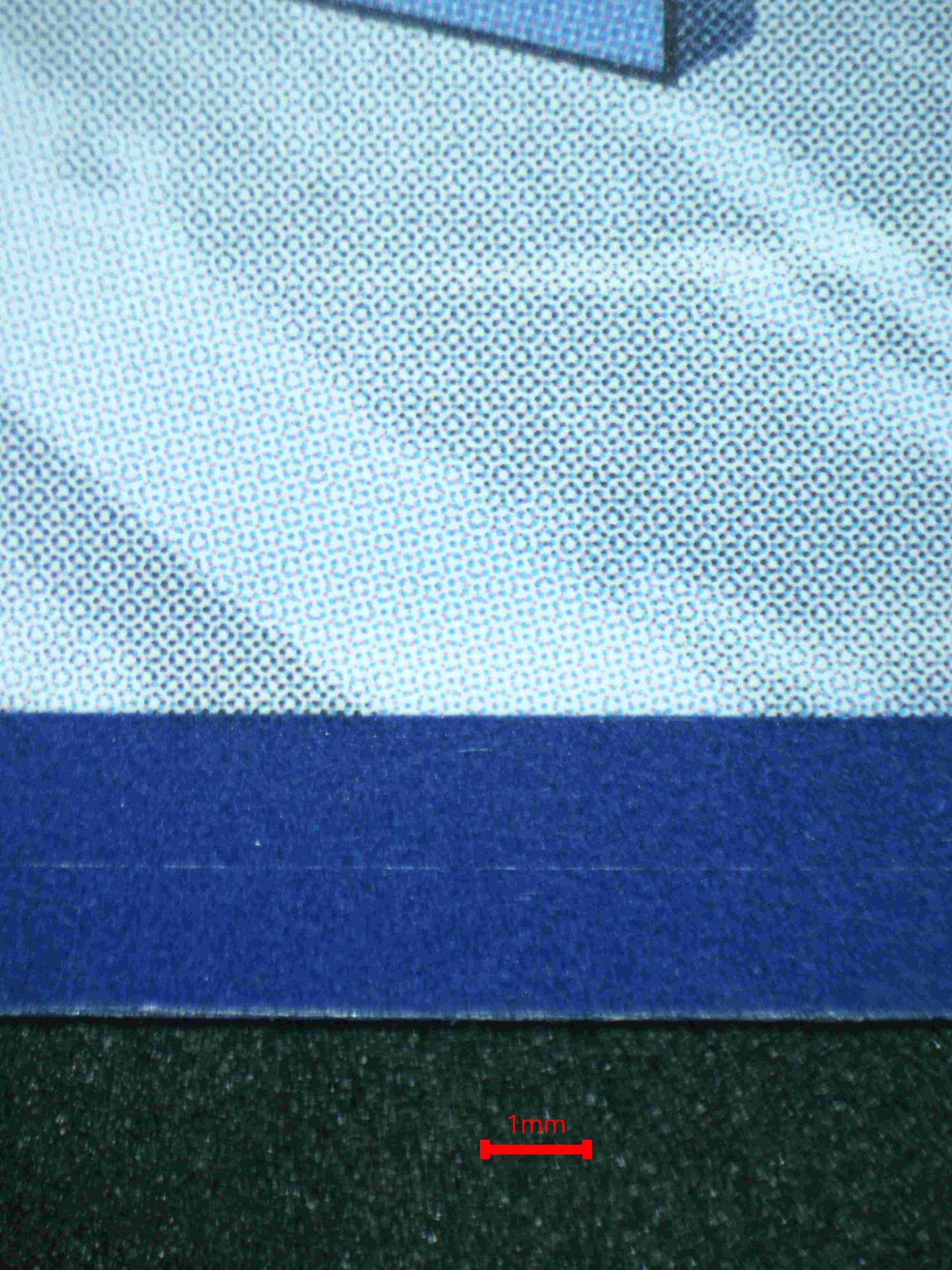 05883 SKELEDIRGE EX - ValueUp