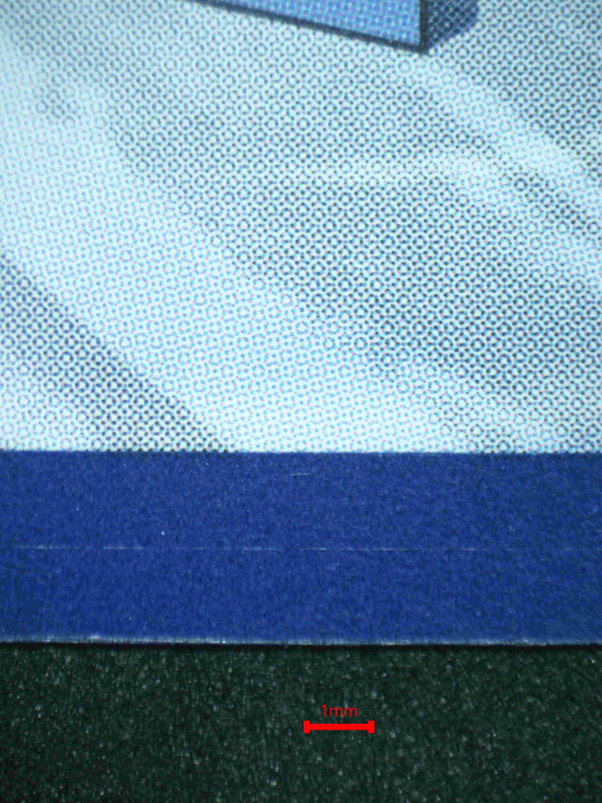 05883 SKELEDIRGE EX - ValueUp