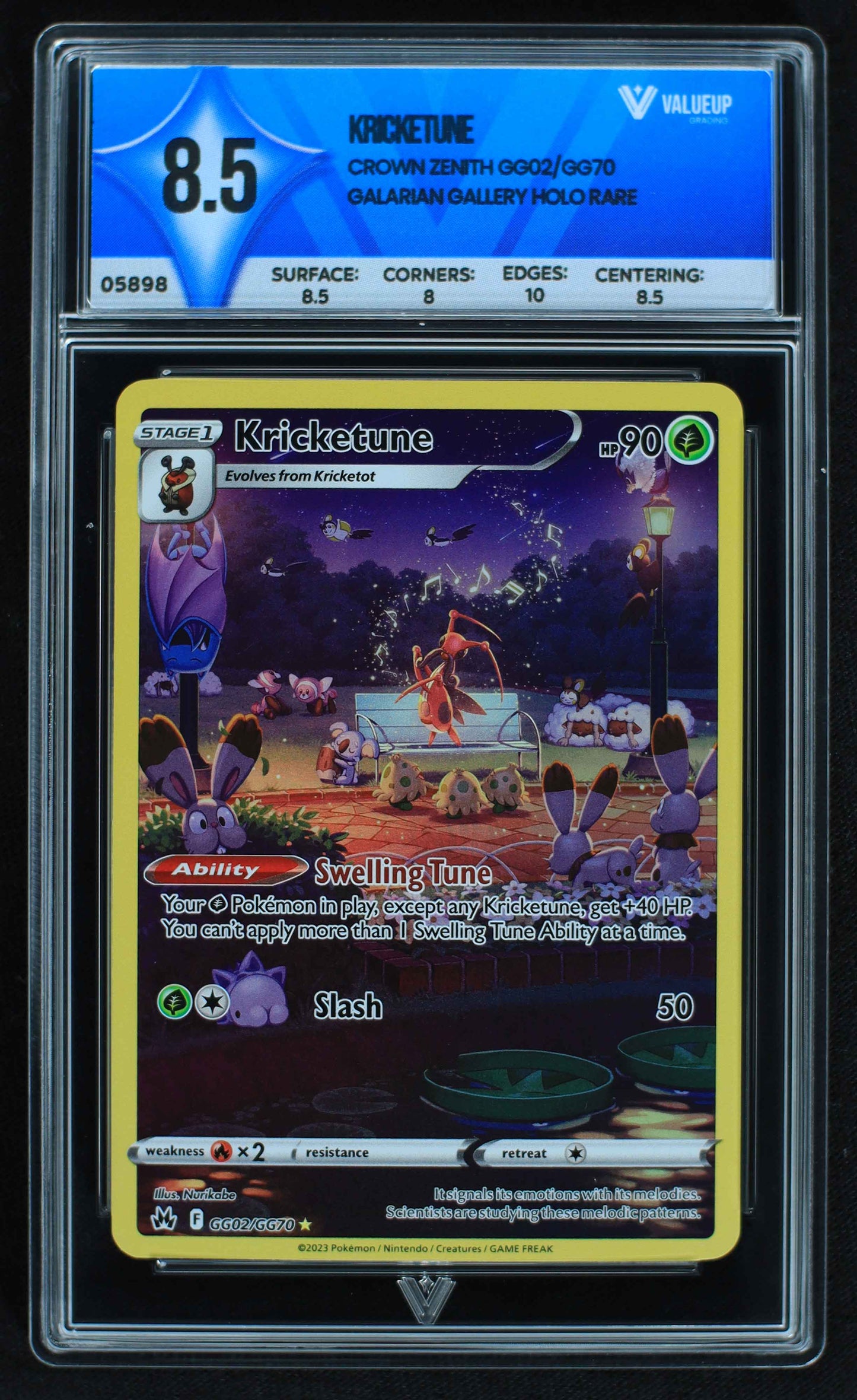 05898 KRICKETUNE - ValueUp
