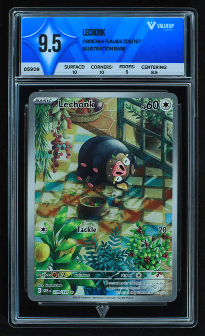 05909 LECHONK - ValueUp