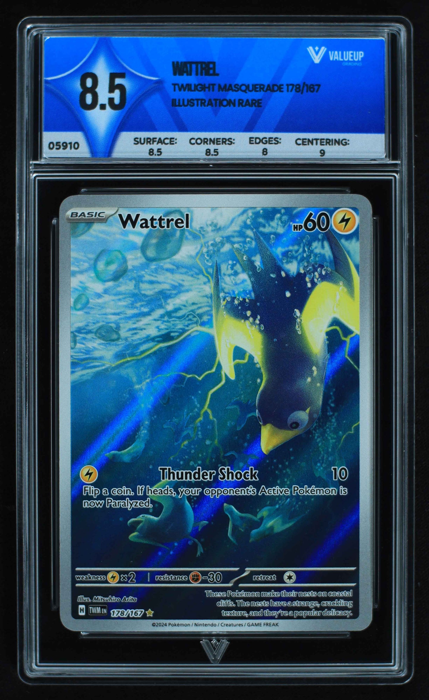 05910 WATTREL - ValueUp