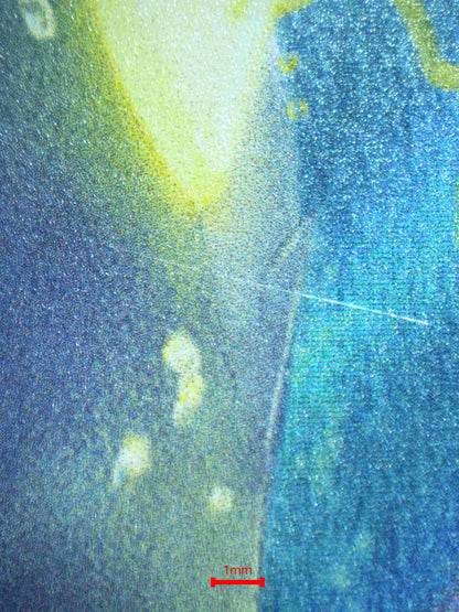 05910 WATTREL - ValueUp