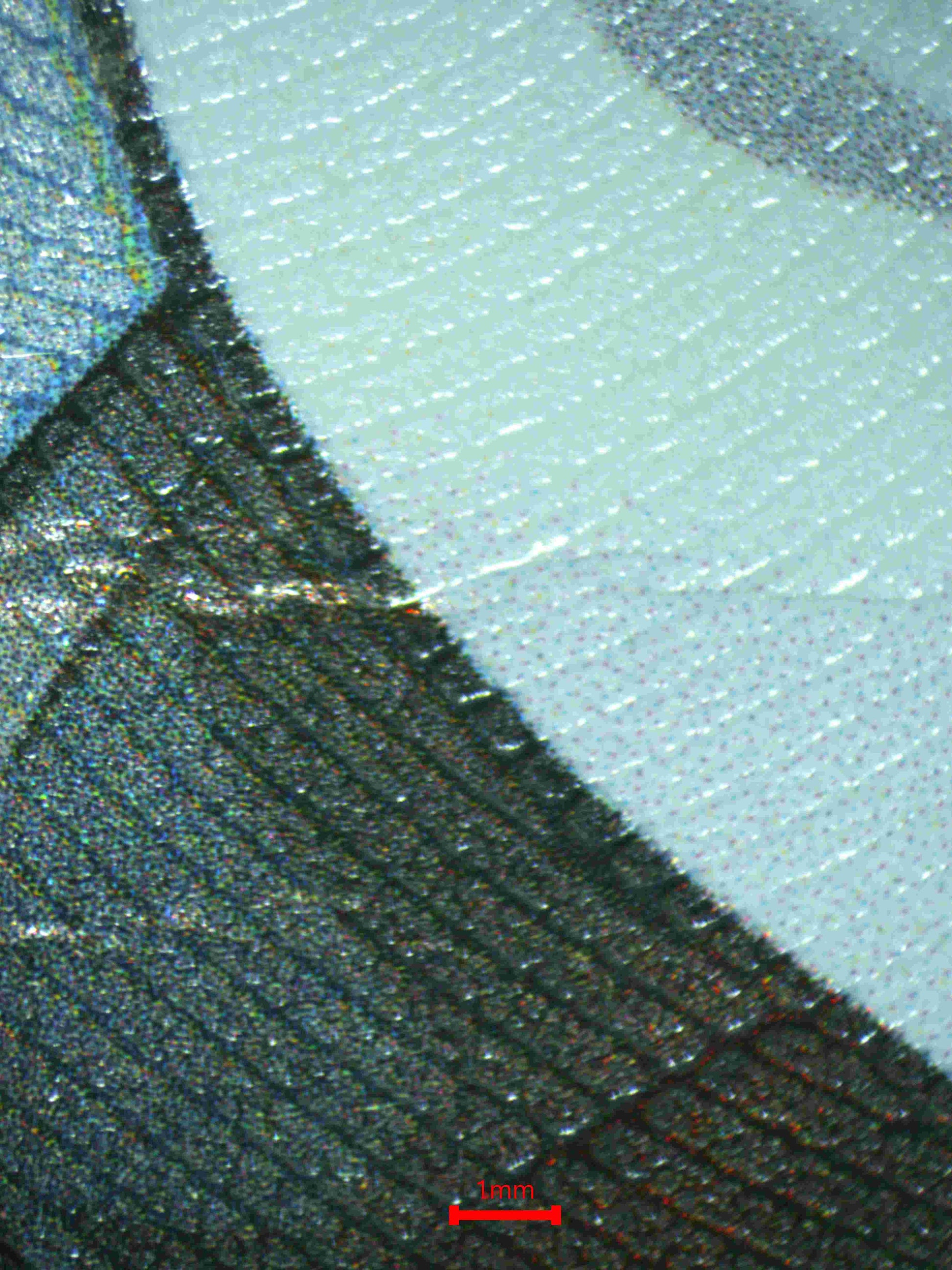 05915 CHILI & CILAN & CRESS - ValueUp