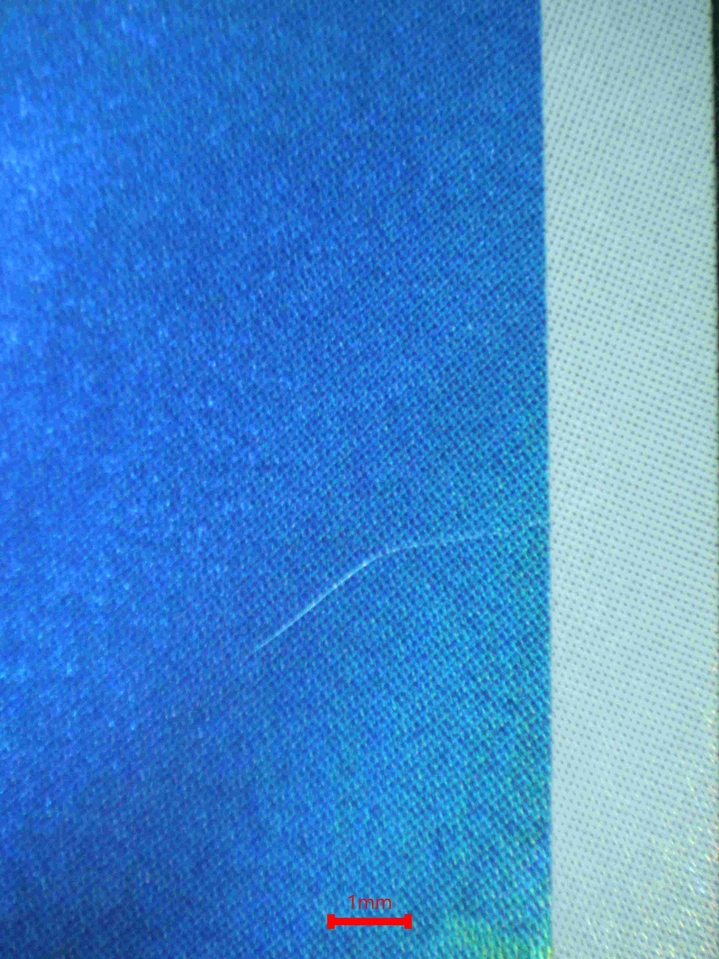 05917 WARTORTLE (JAPANESE) - ValueUp