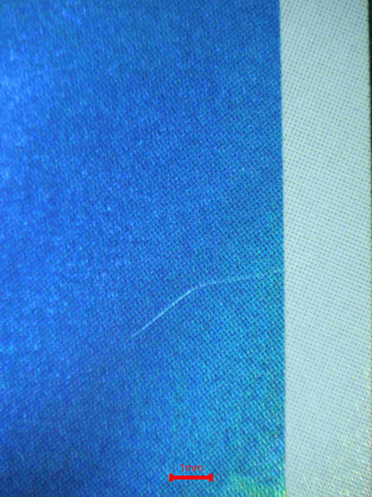 05917 WARTORTLE (JAPANESE) - ValueUp