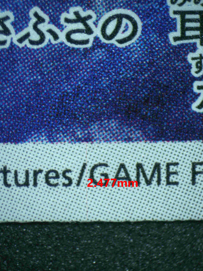 05917 WARTORTLE (JAPANESE) - ValueUp