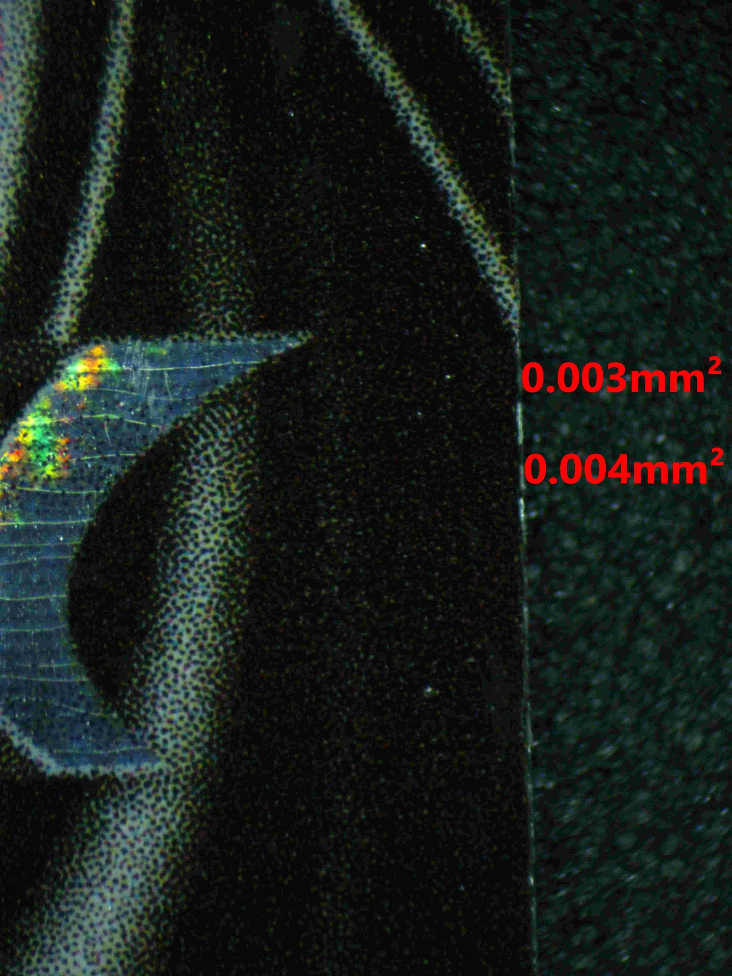 05923 MEW V - ValueUp