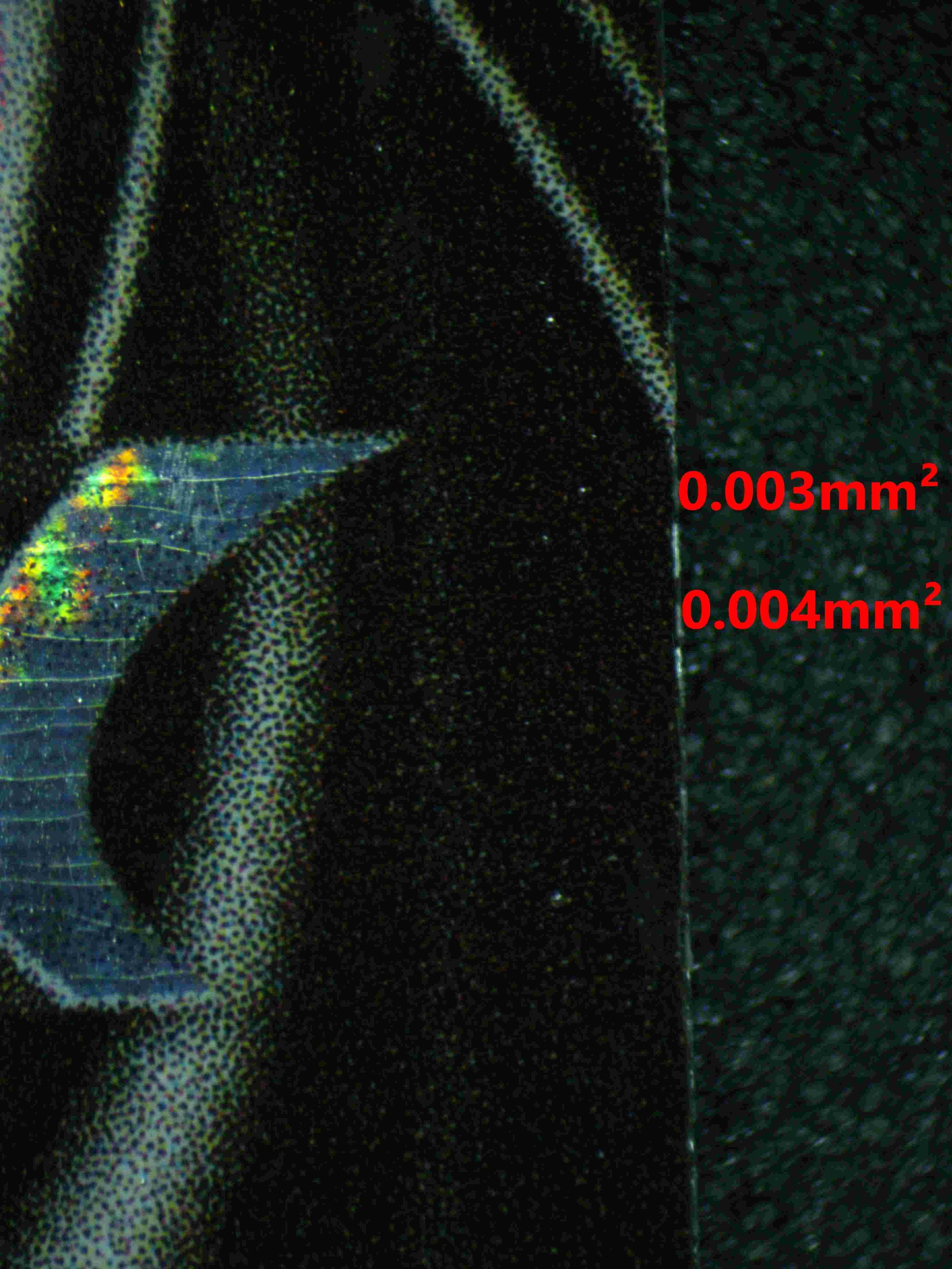 05923 MEW V - ValueUp