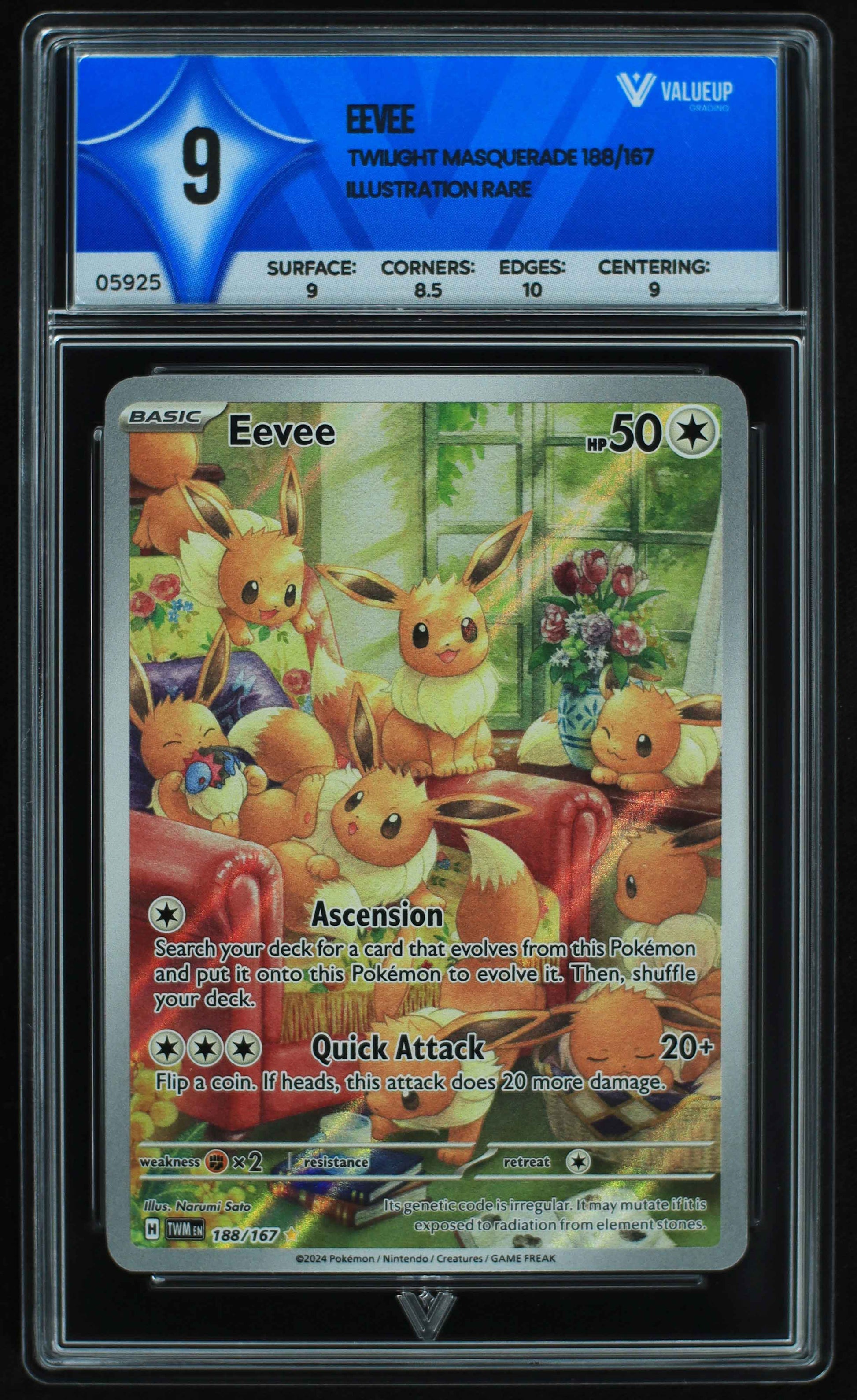 05925 EEVEE - ValueUp