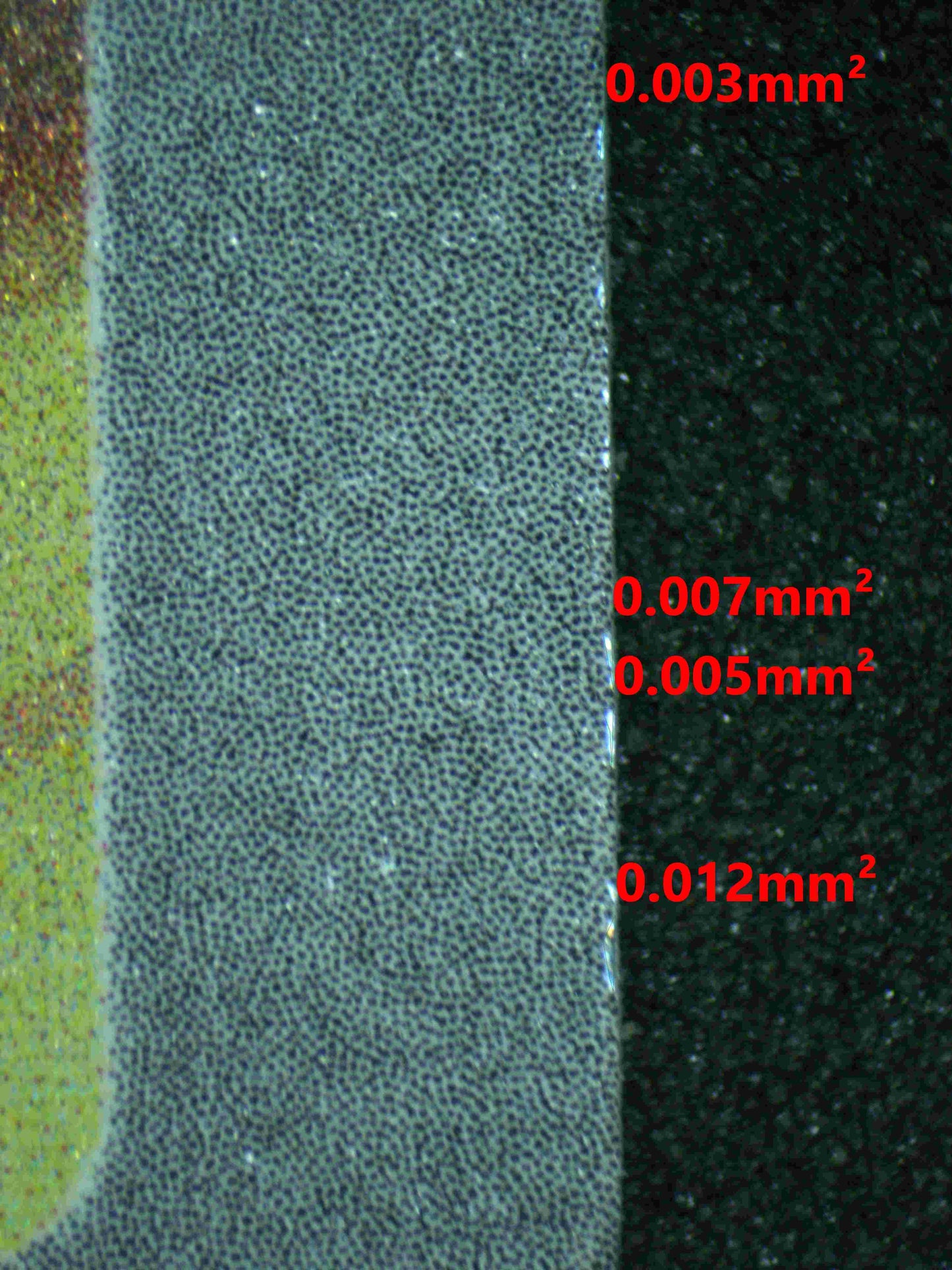 05931 BULBASAUR - ValueUp