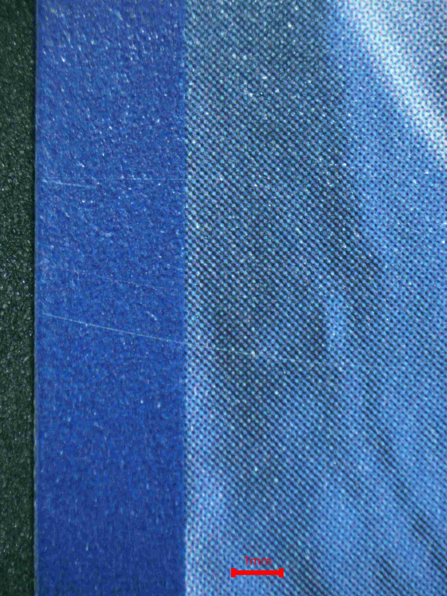 05931 BULBASAUR - ValueUp