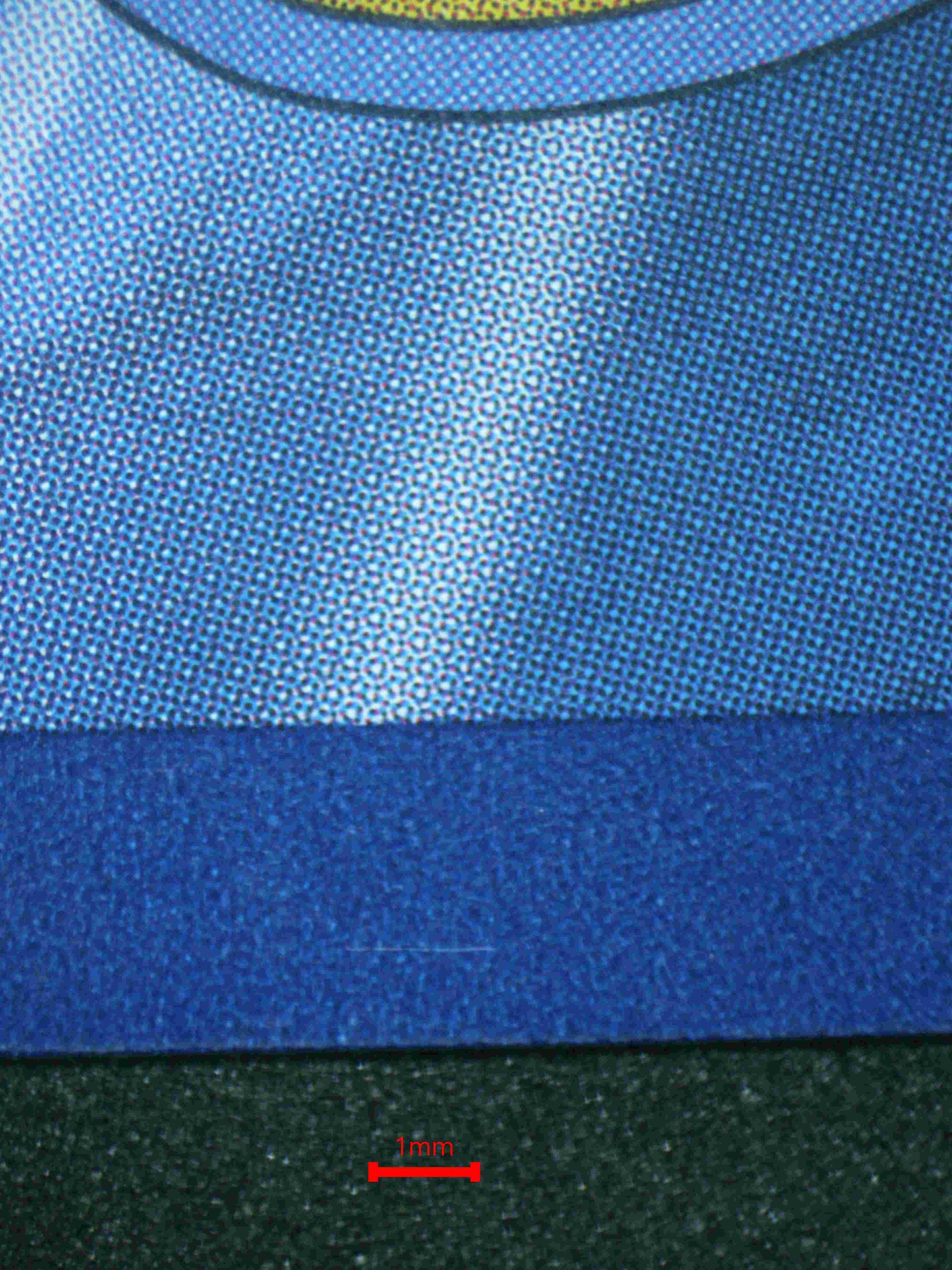 05950 ZAPDOS EX (KOREAN) - ValueUp