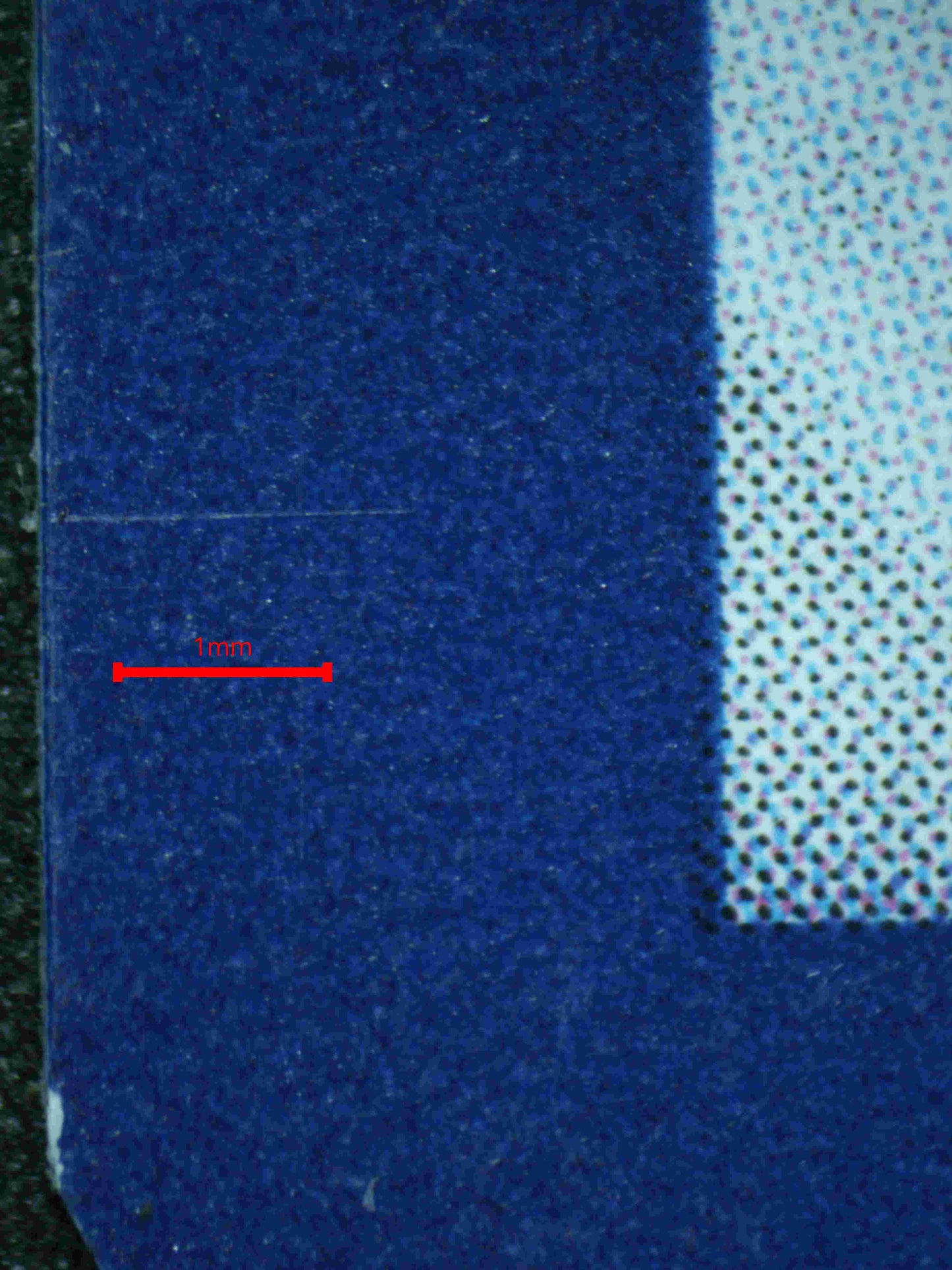 05951 CHARIZARD EX - ValueUp