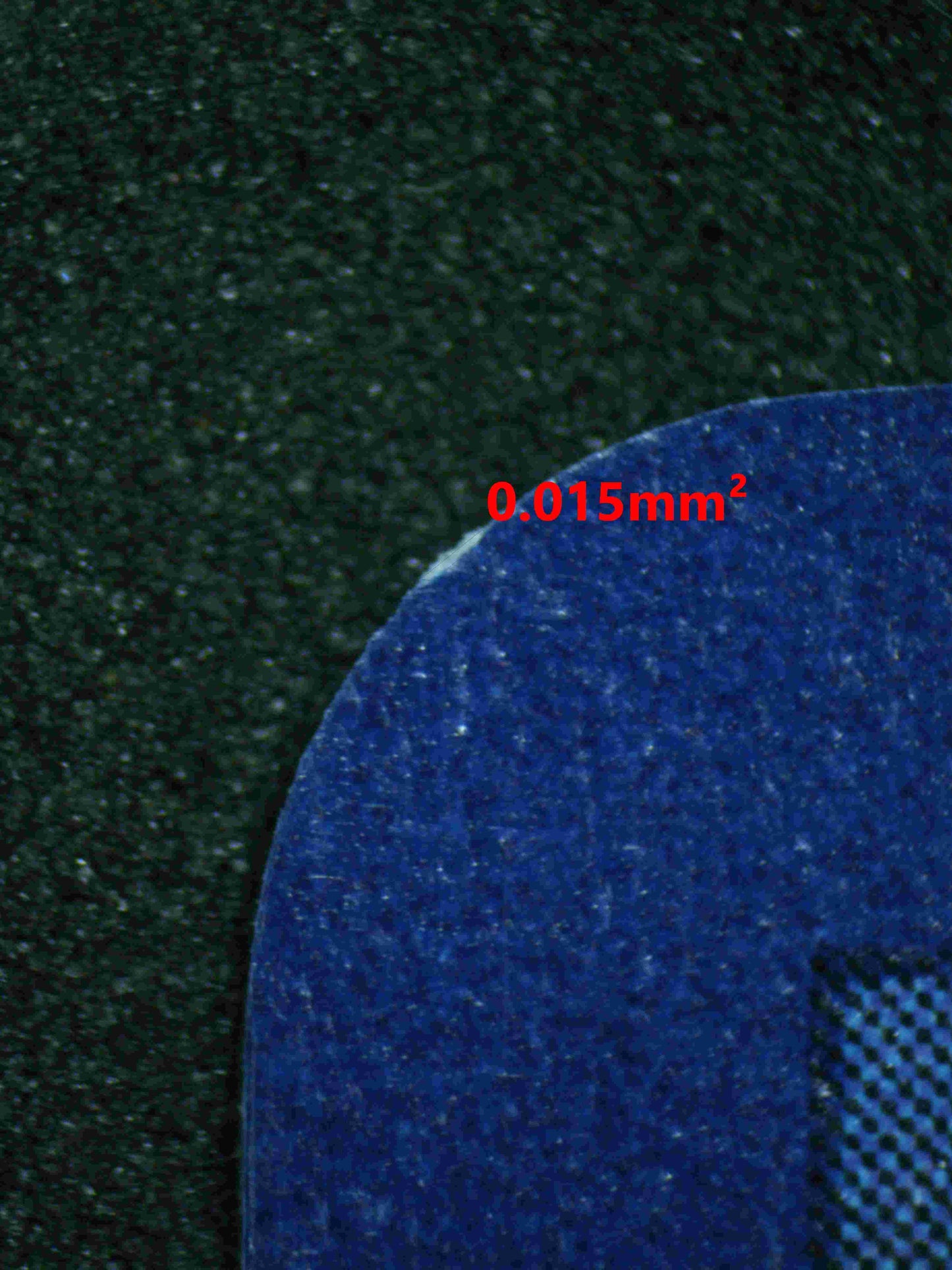 05955 PIDGEOT EX - ValueUp